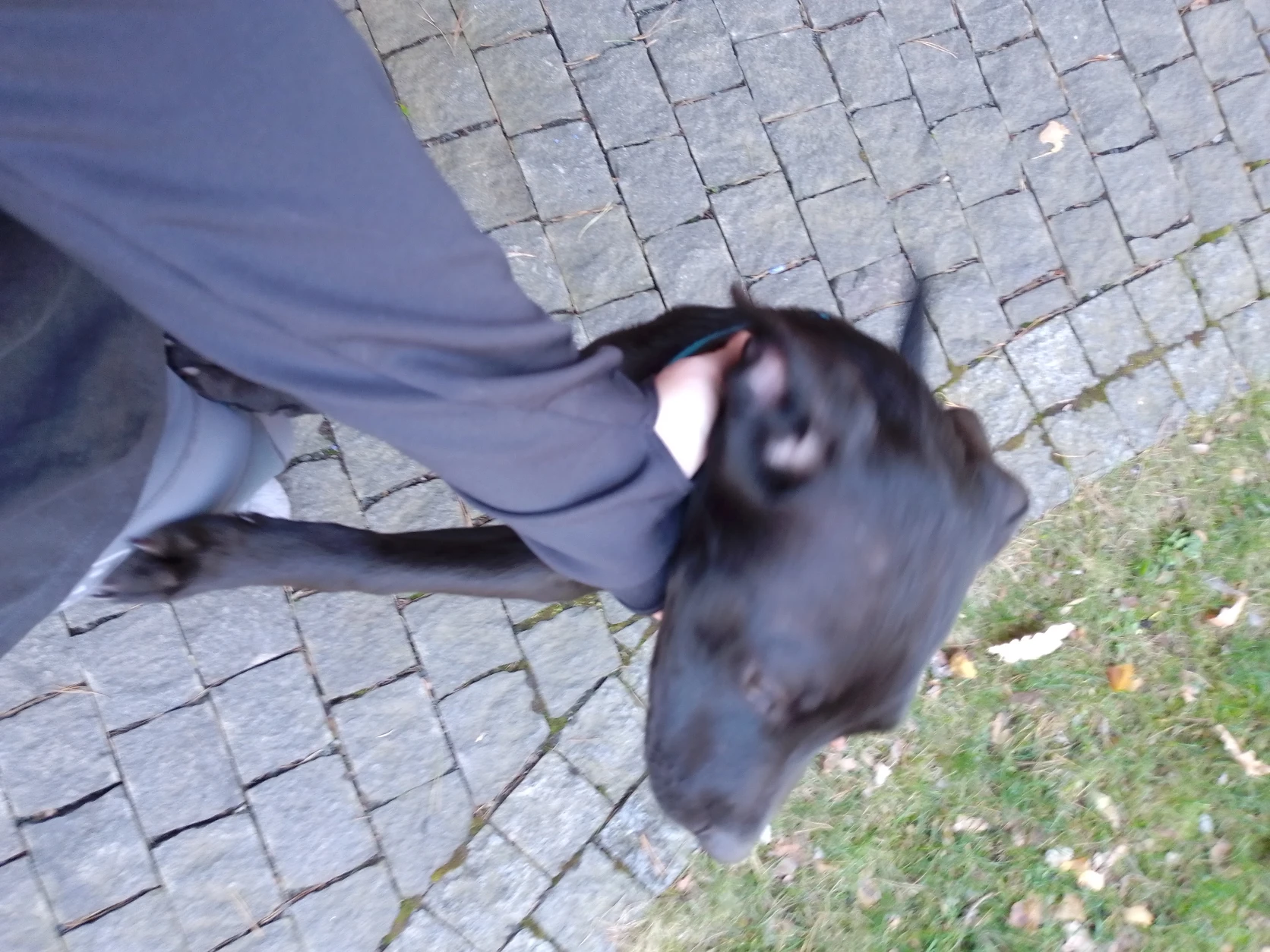 image-8