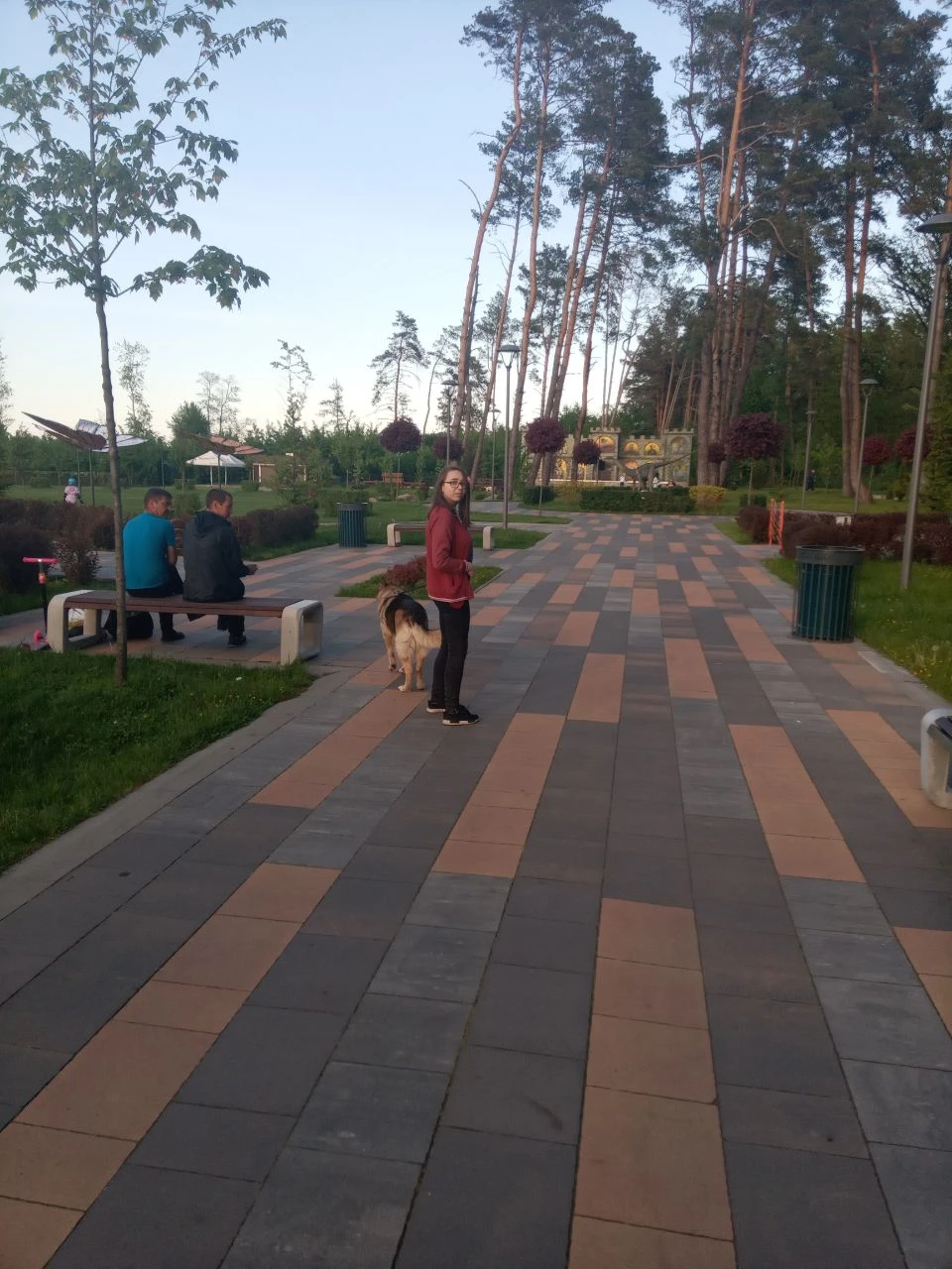 image-6