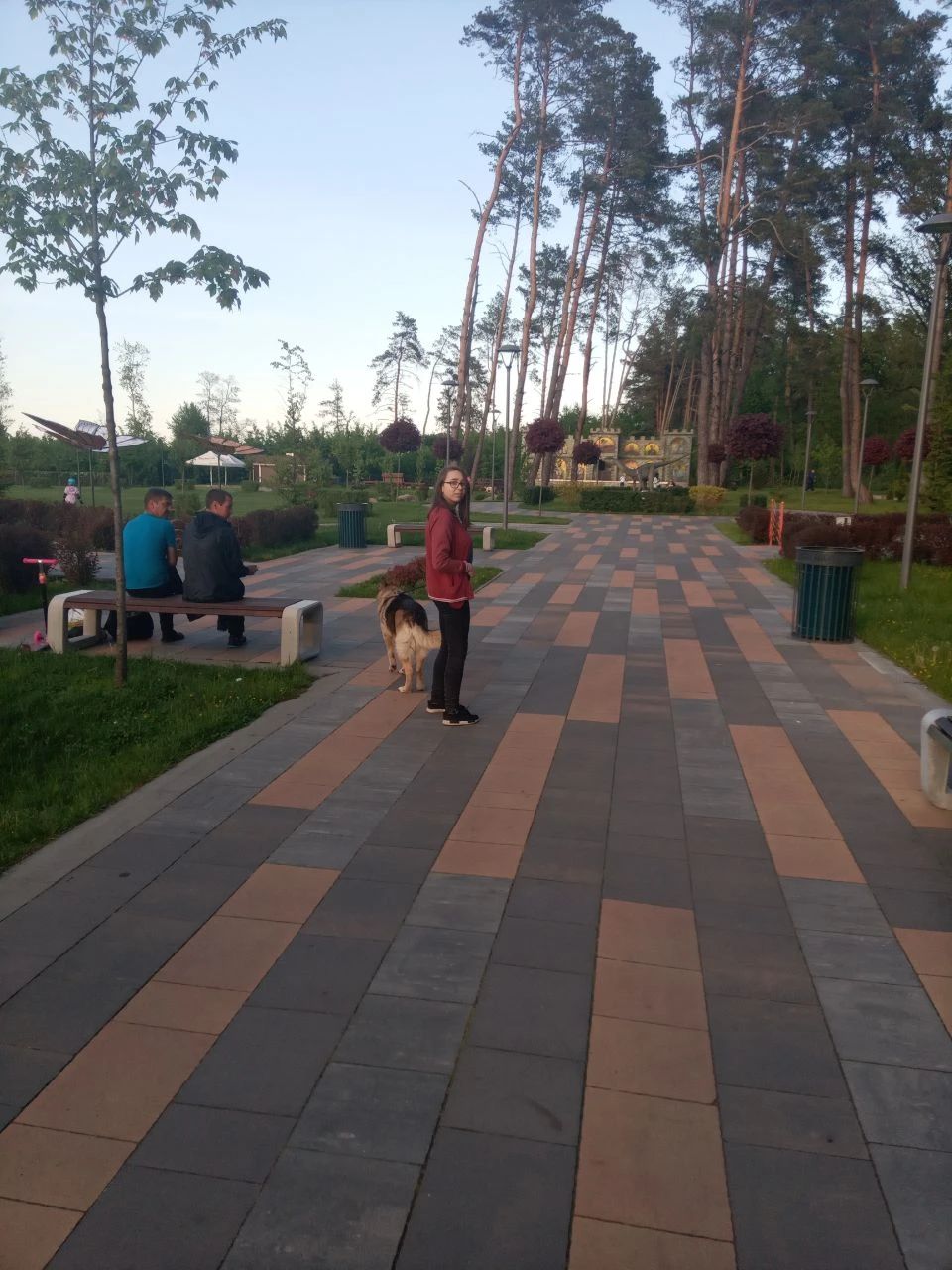 image-6