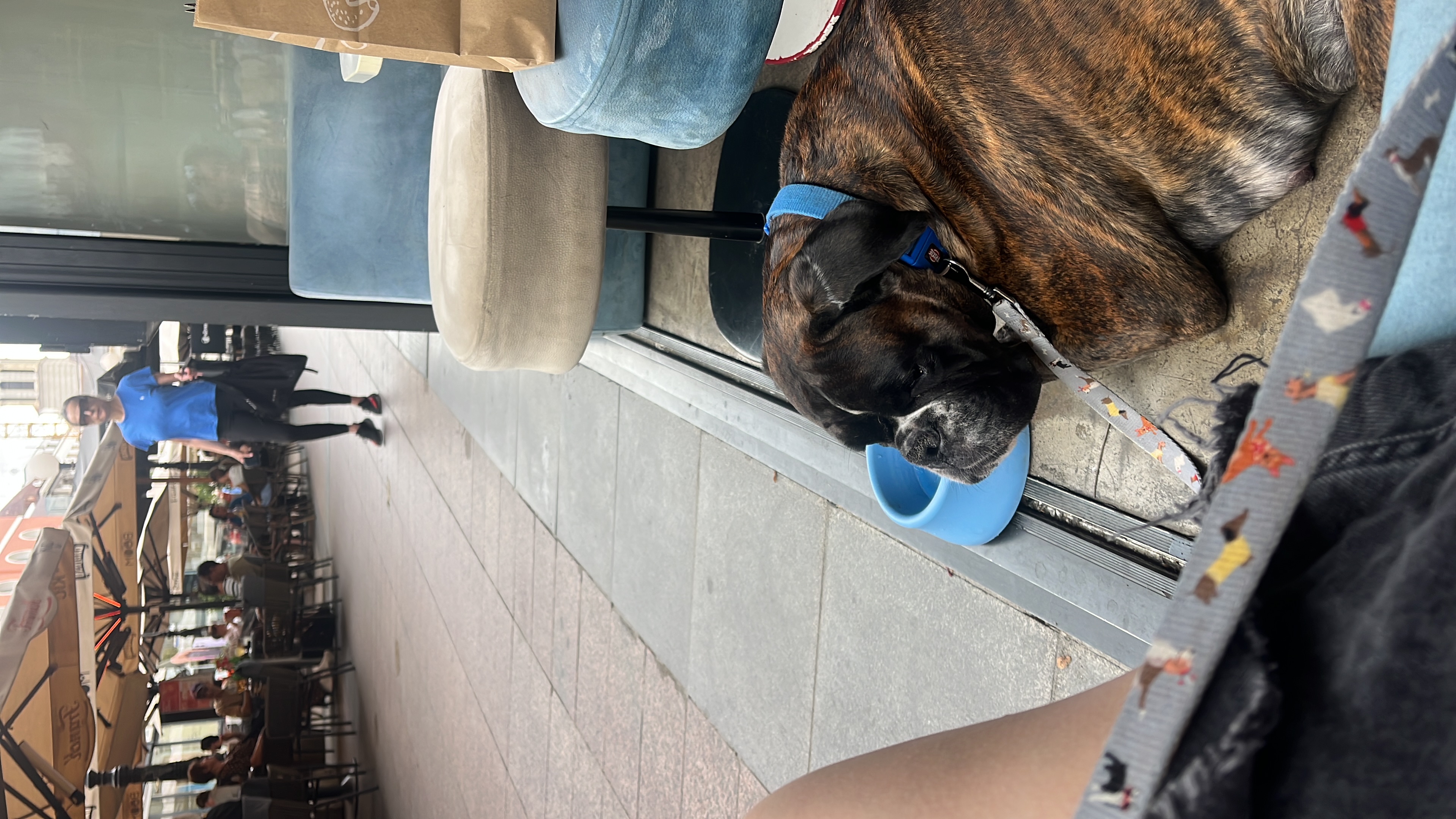 image-5