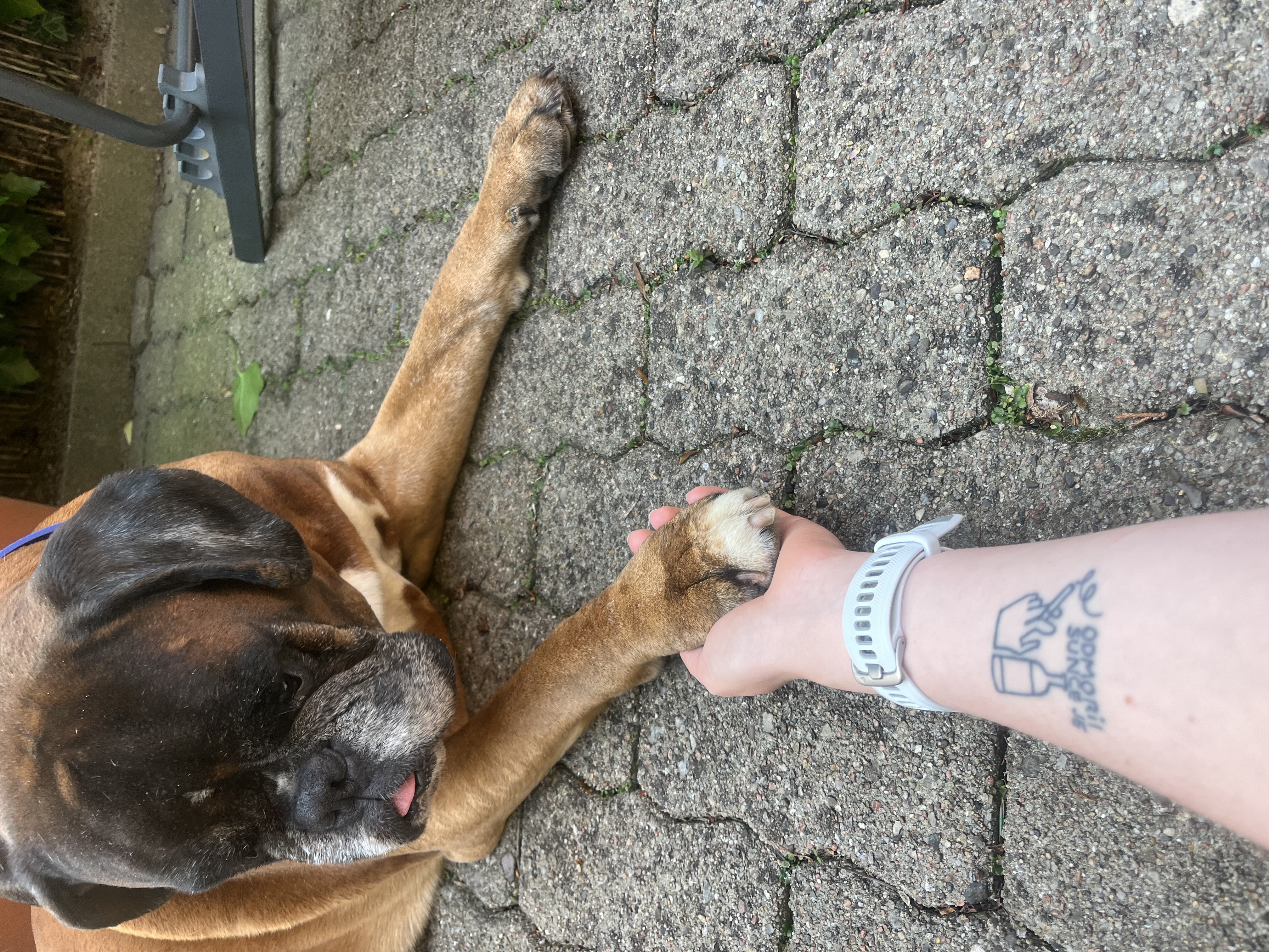 image-7