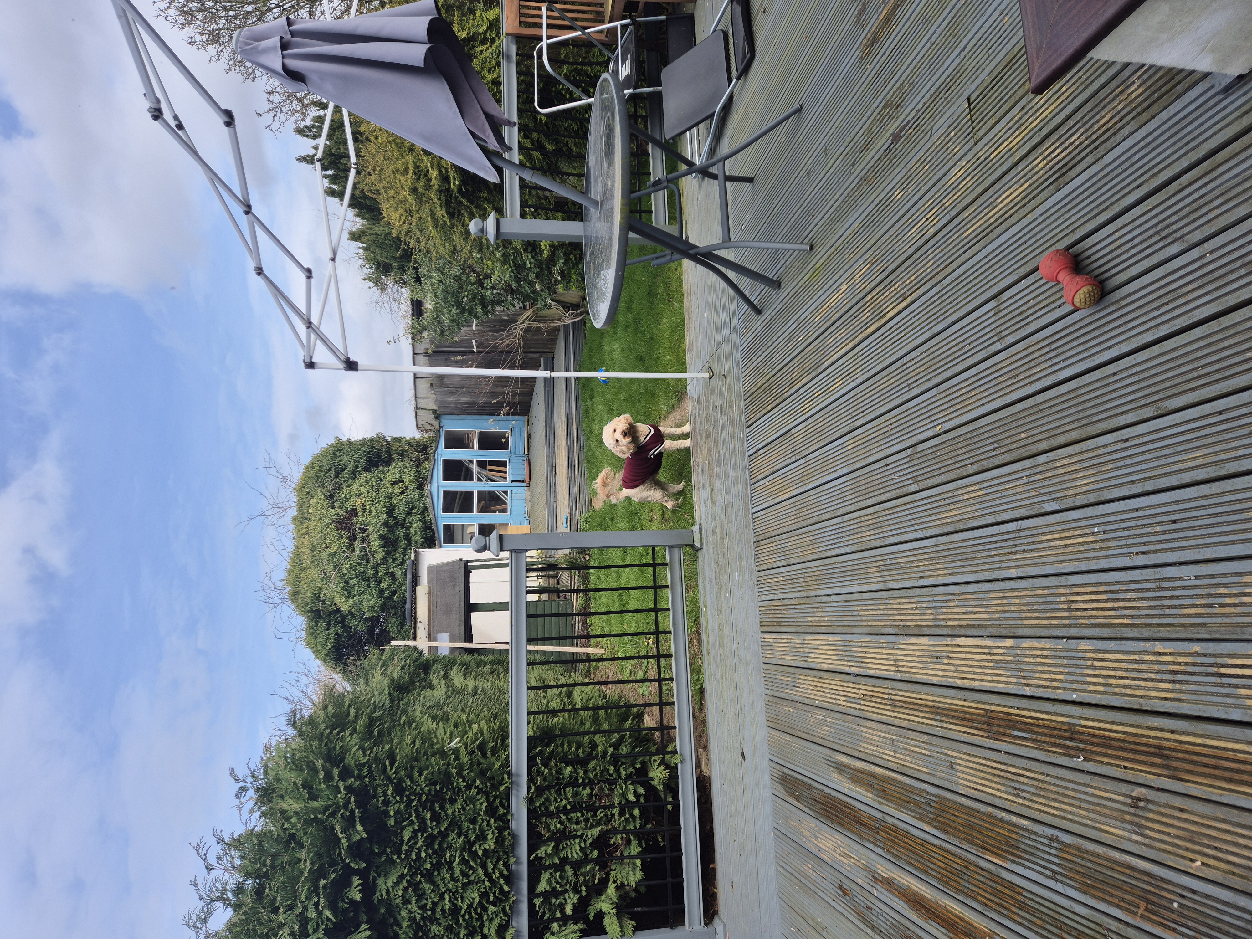 image-20