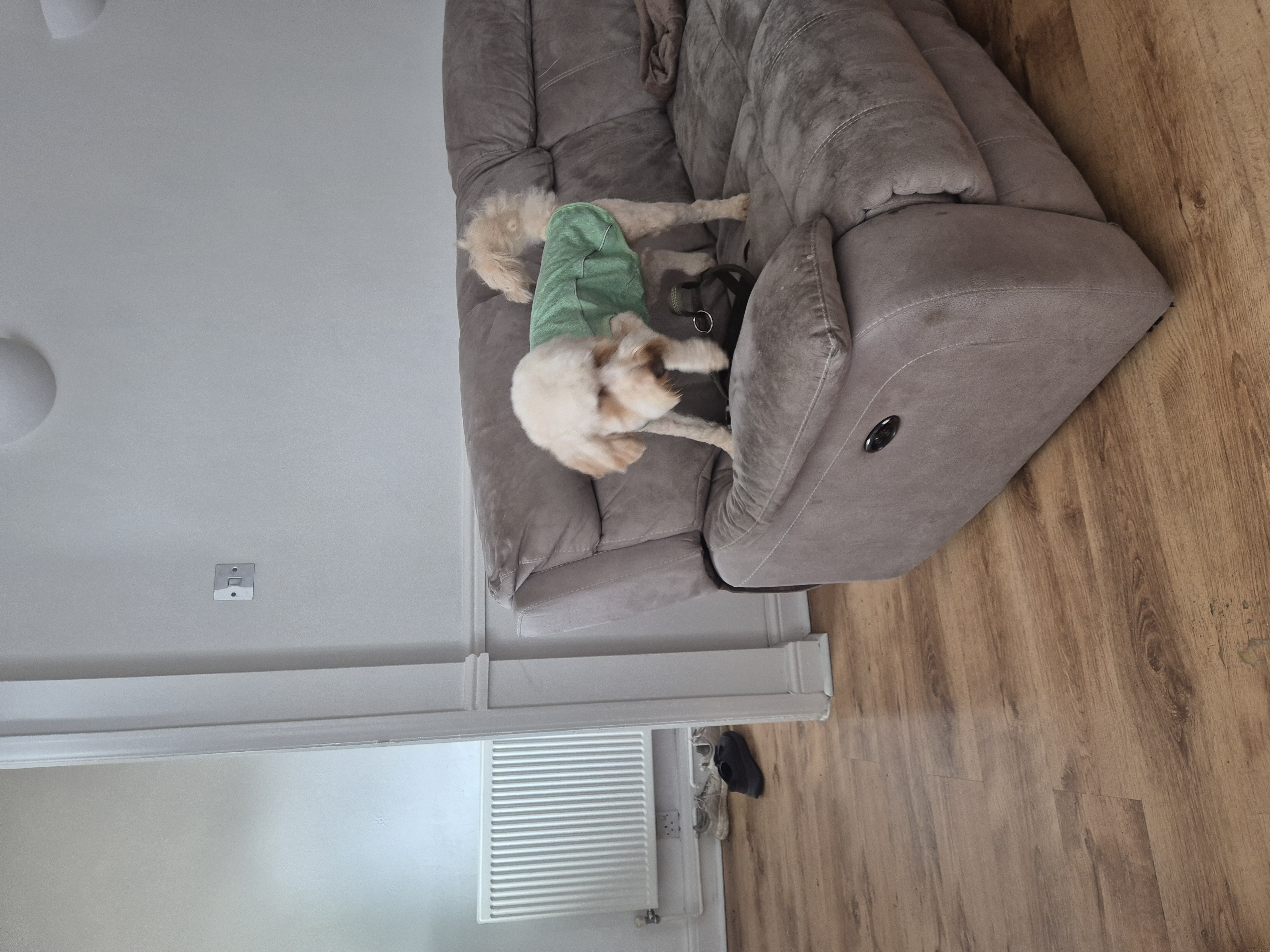 image-16