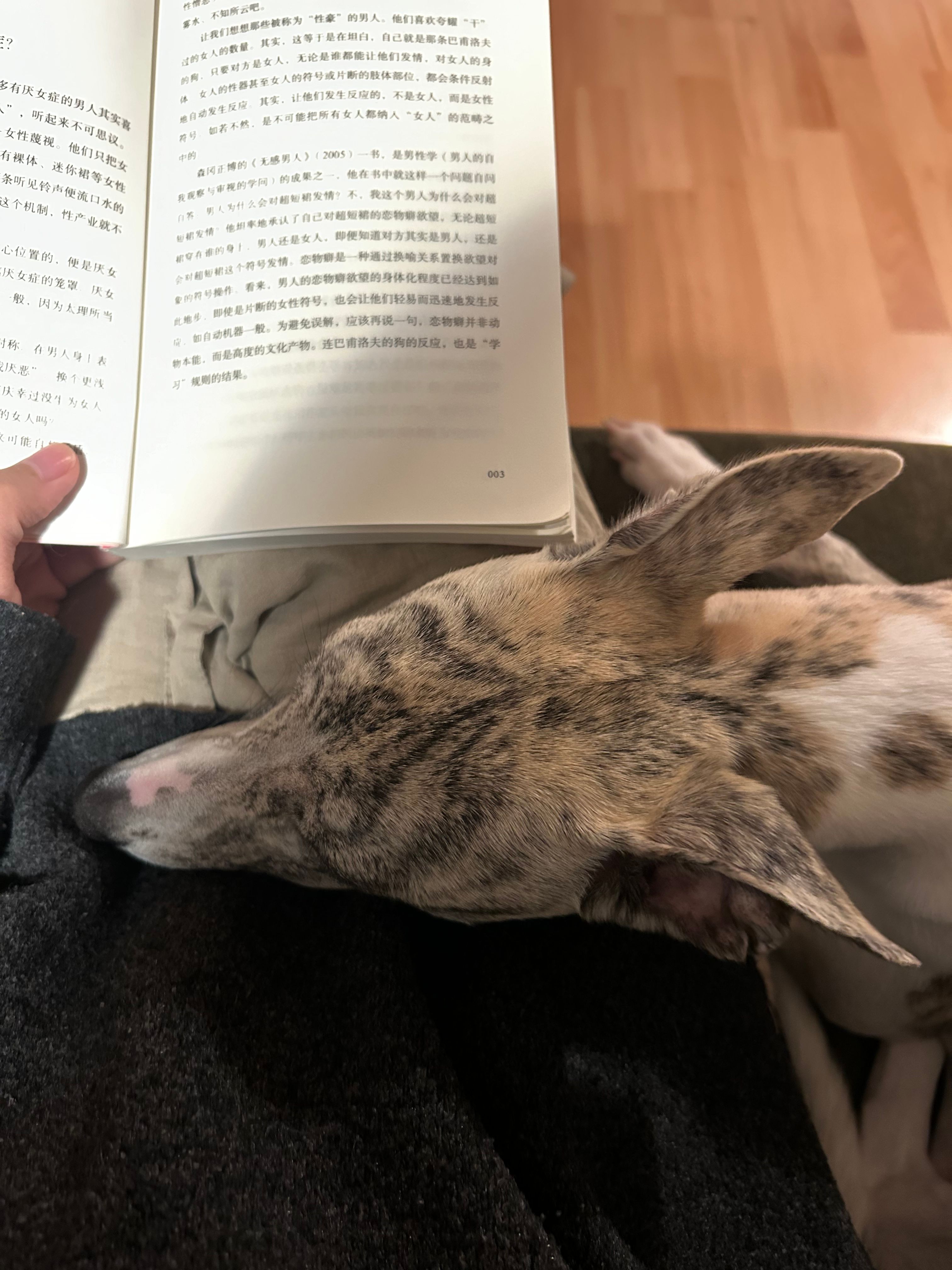 image-9
