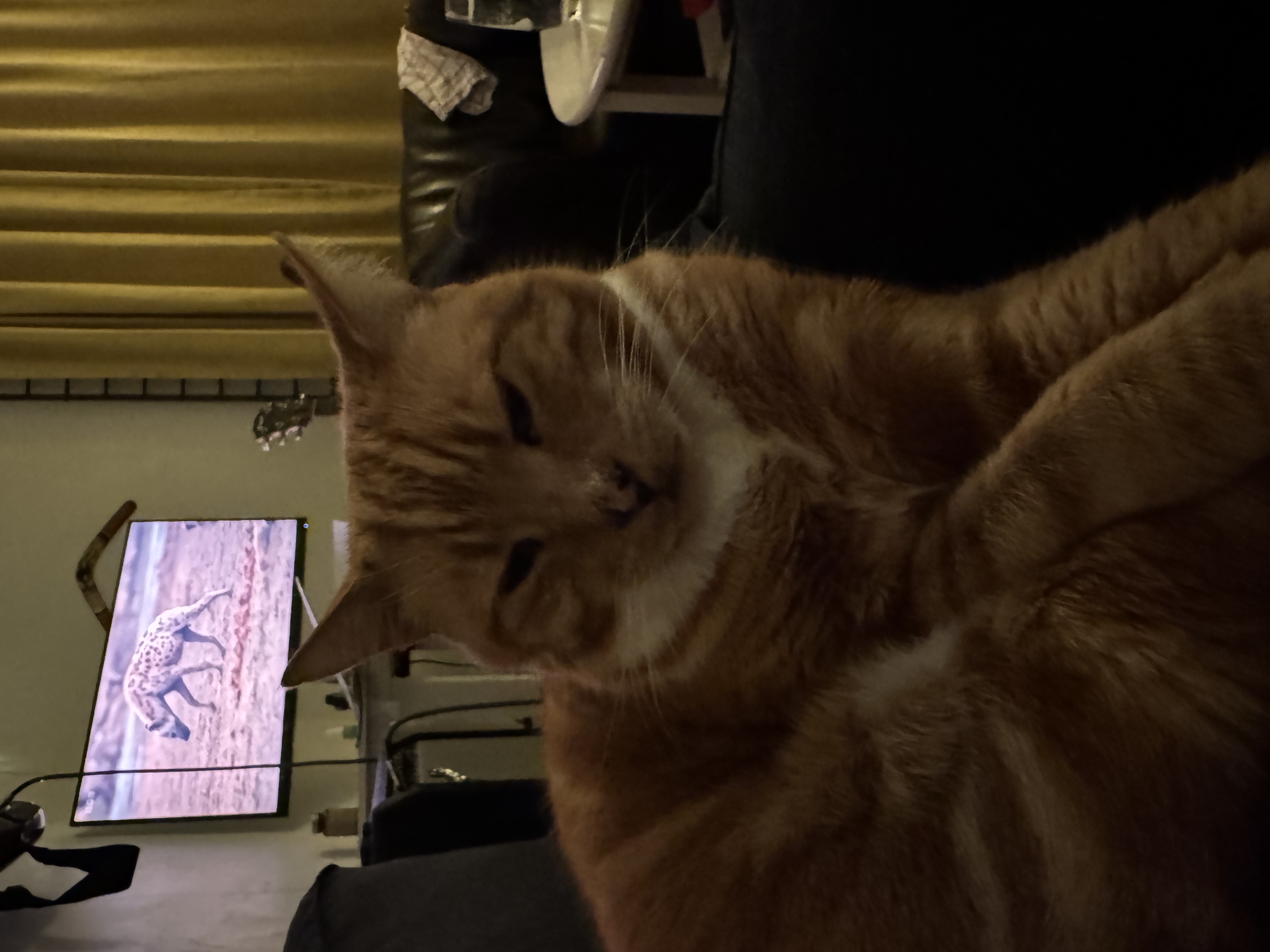 image-8
