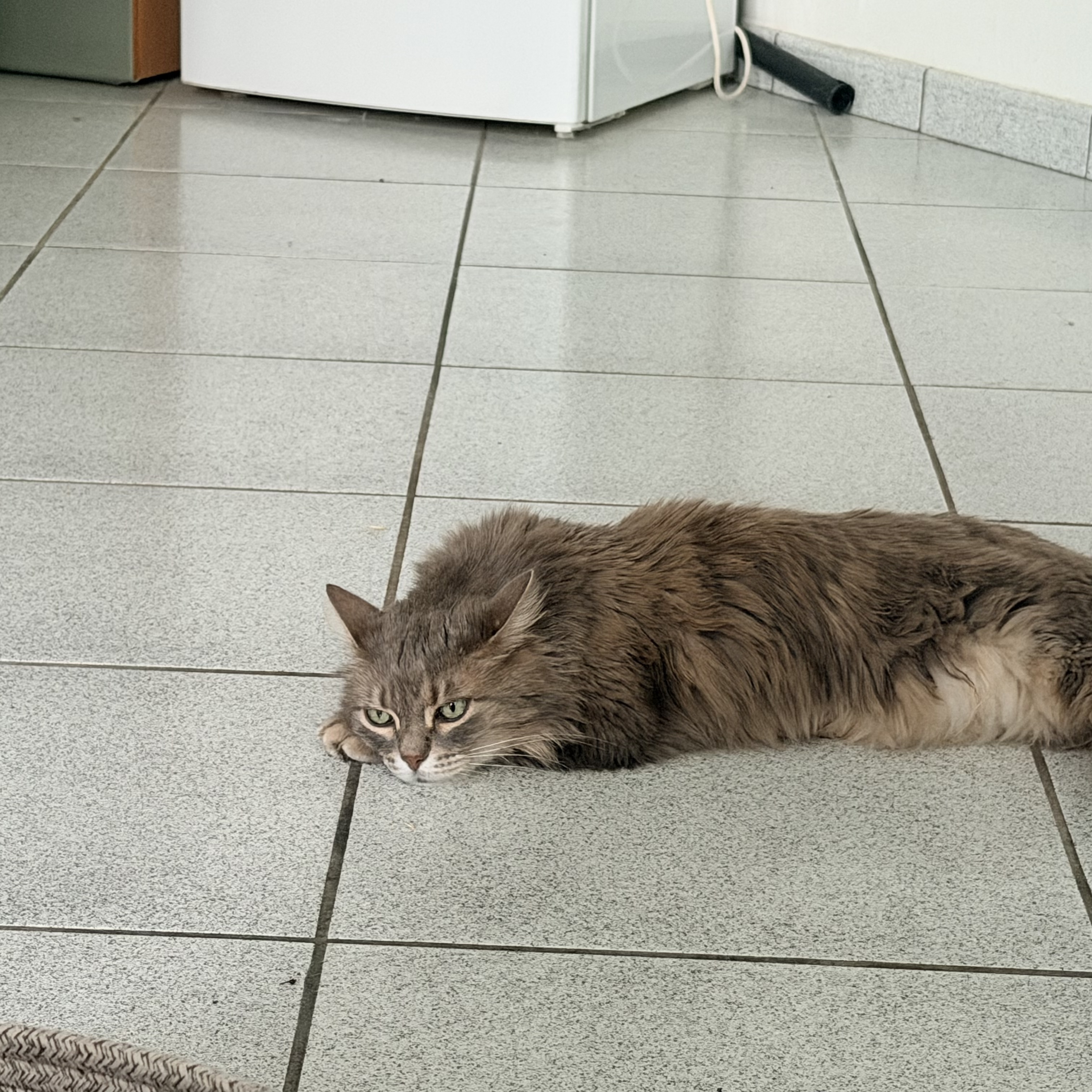 image-17