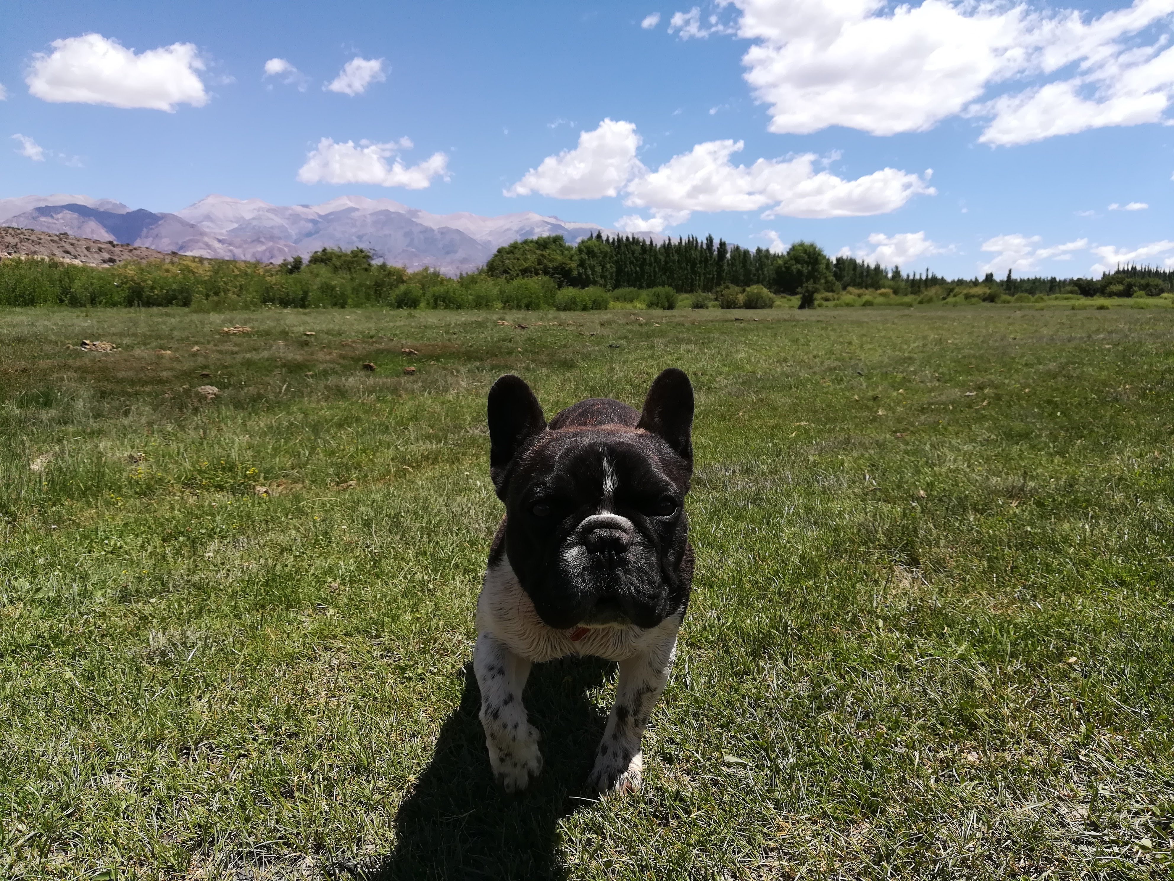 image-6