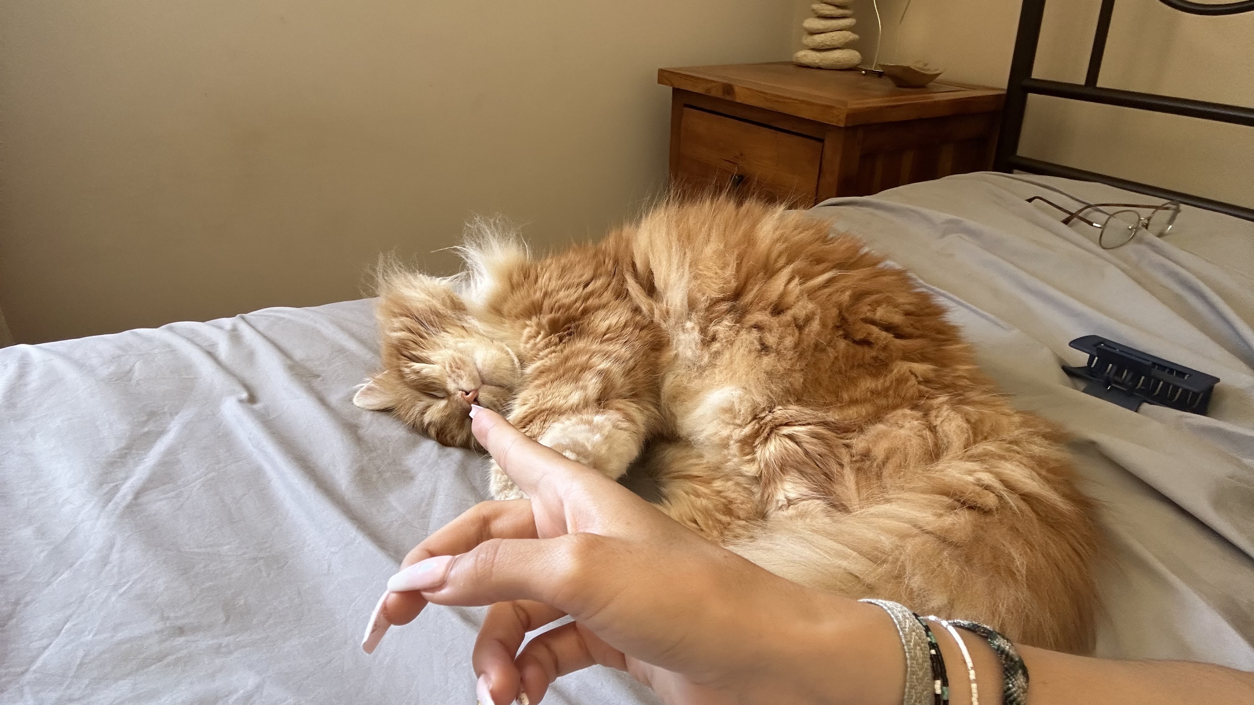image-6