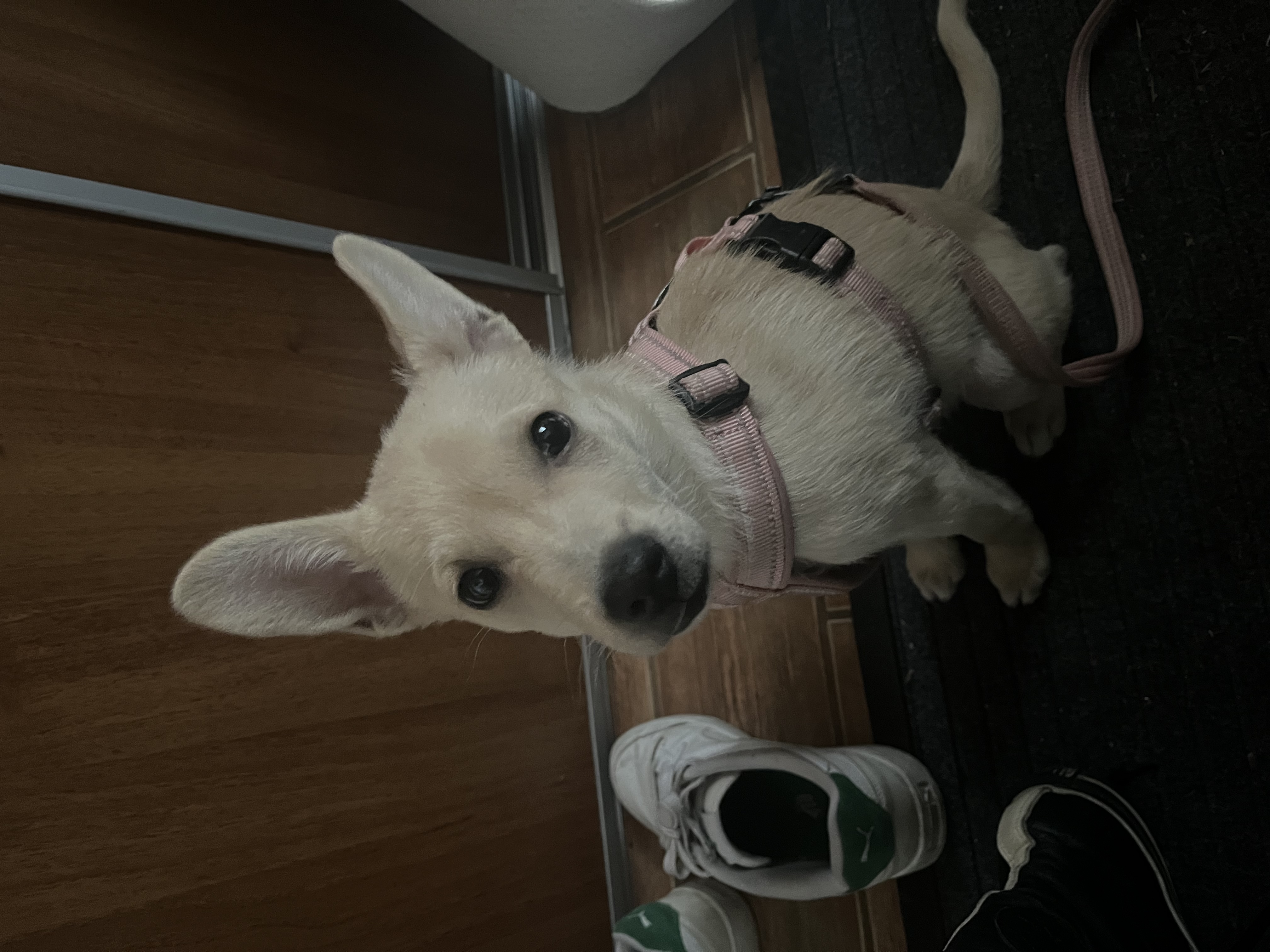image-3