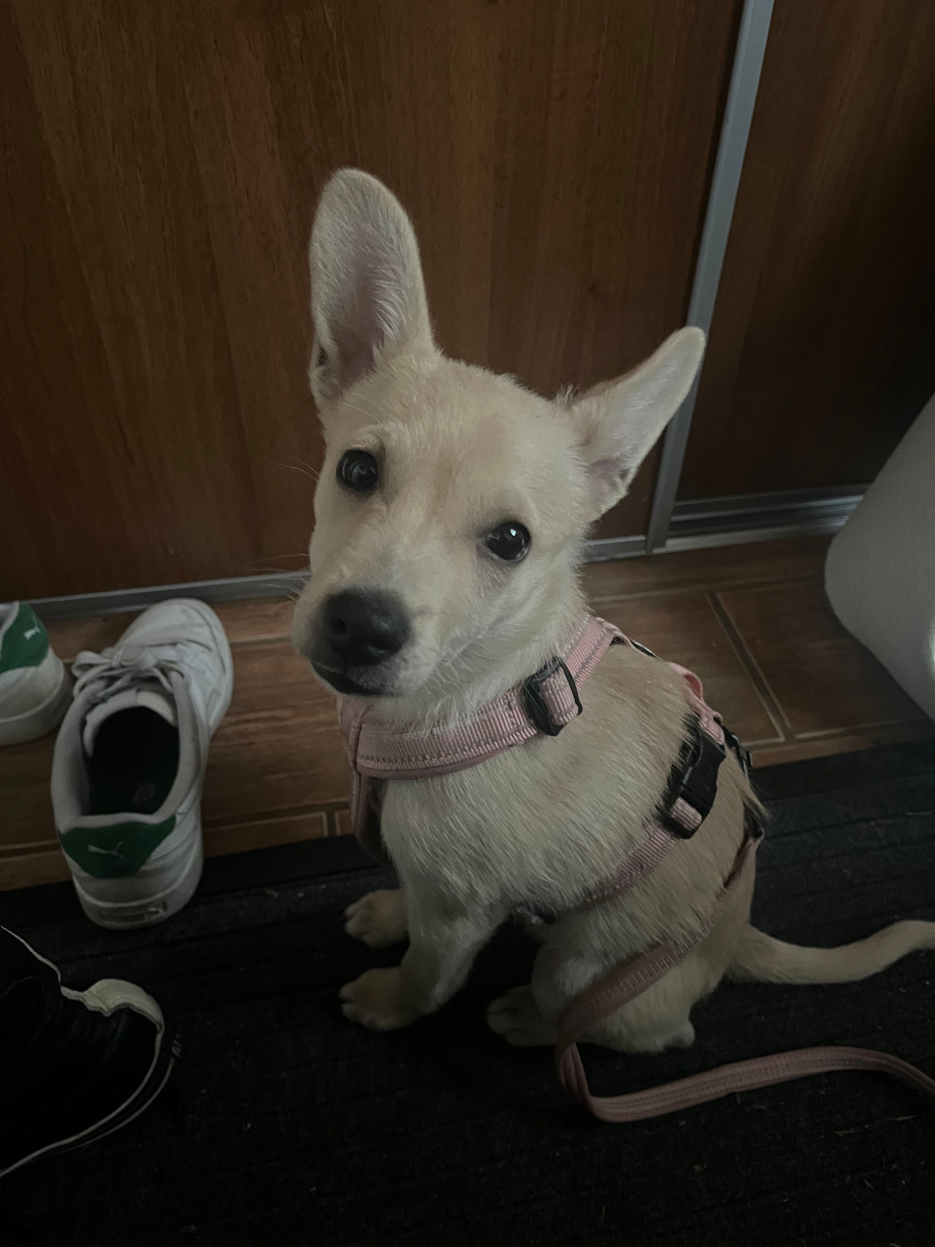 image-3