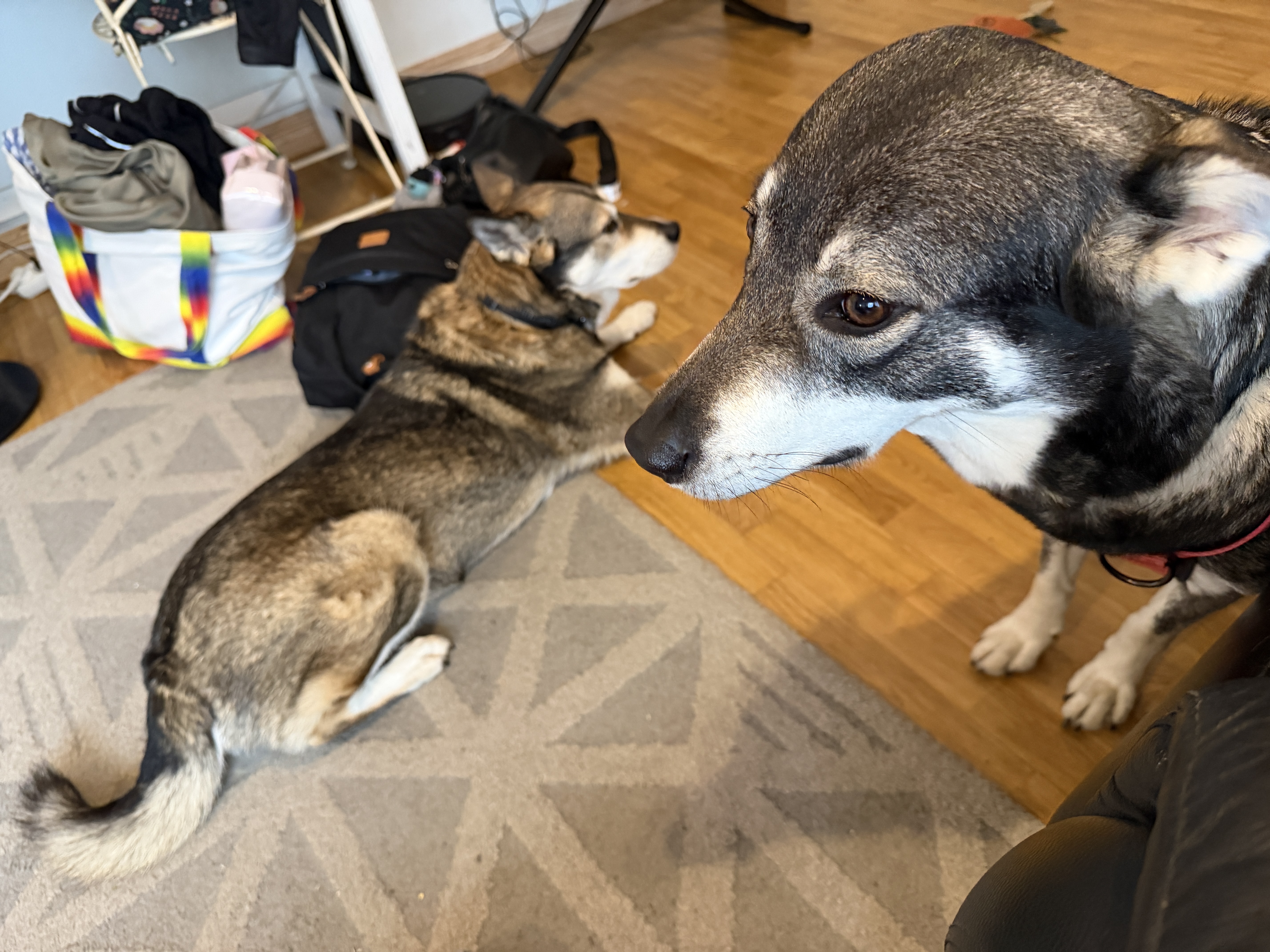 image-6