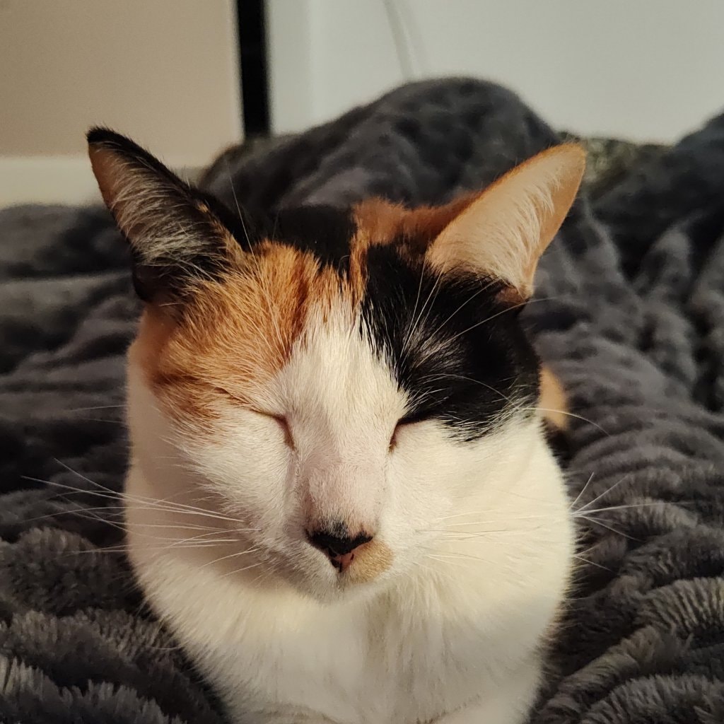 Lily