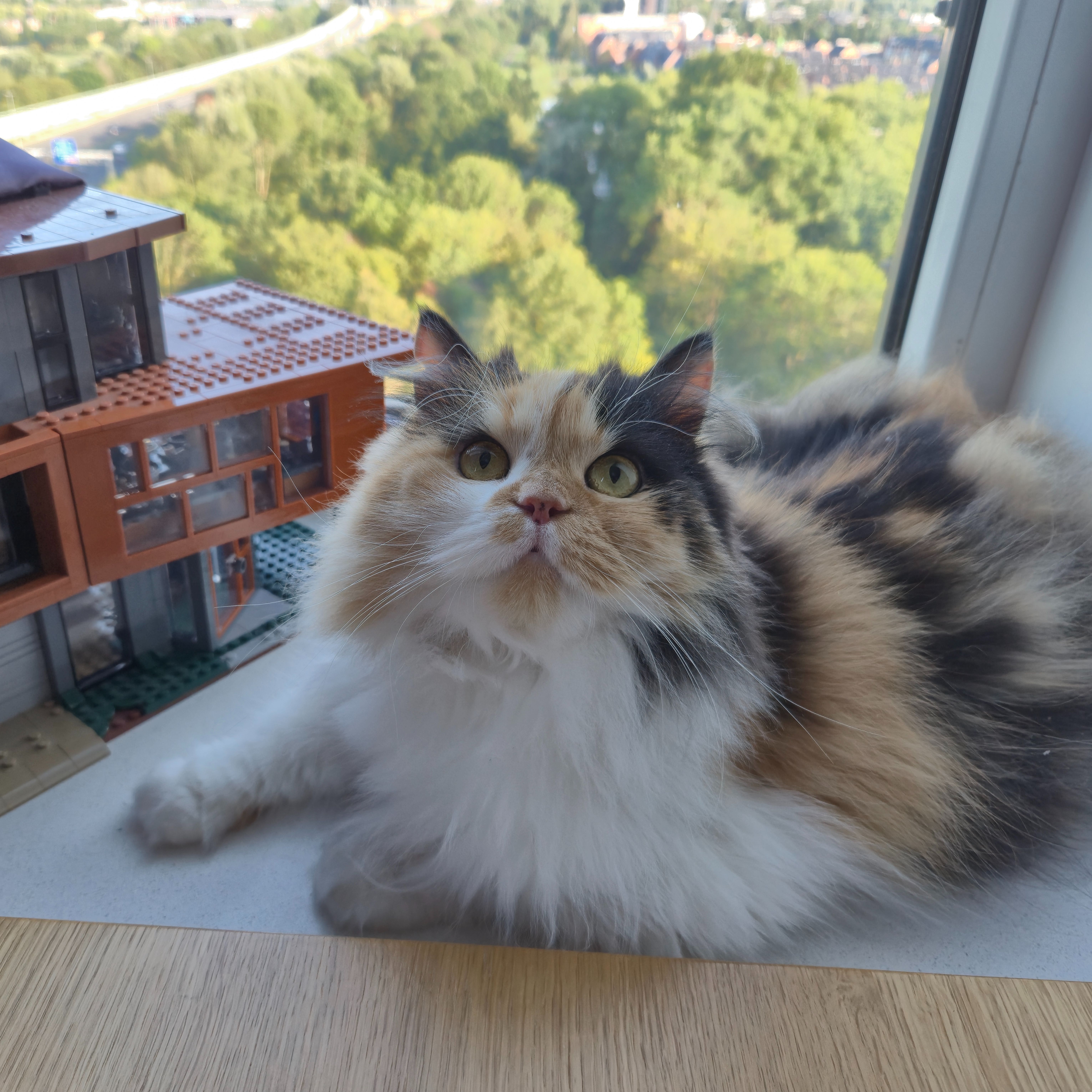 Mochi