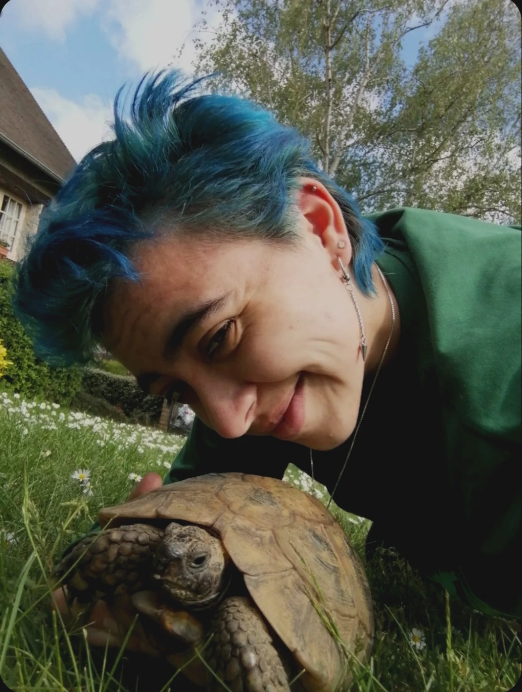 image-8