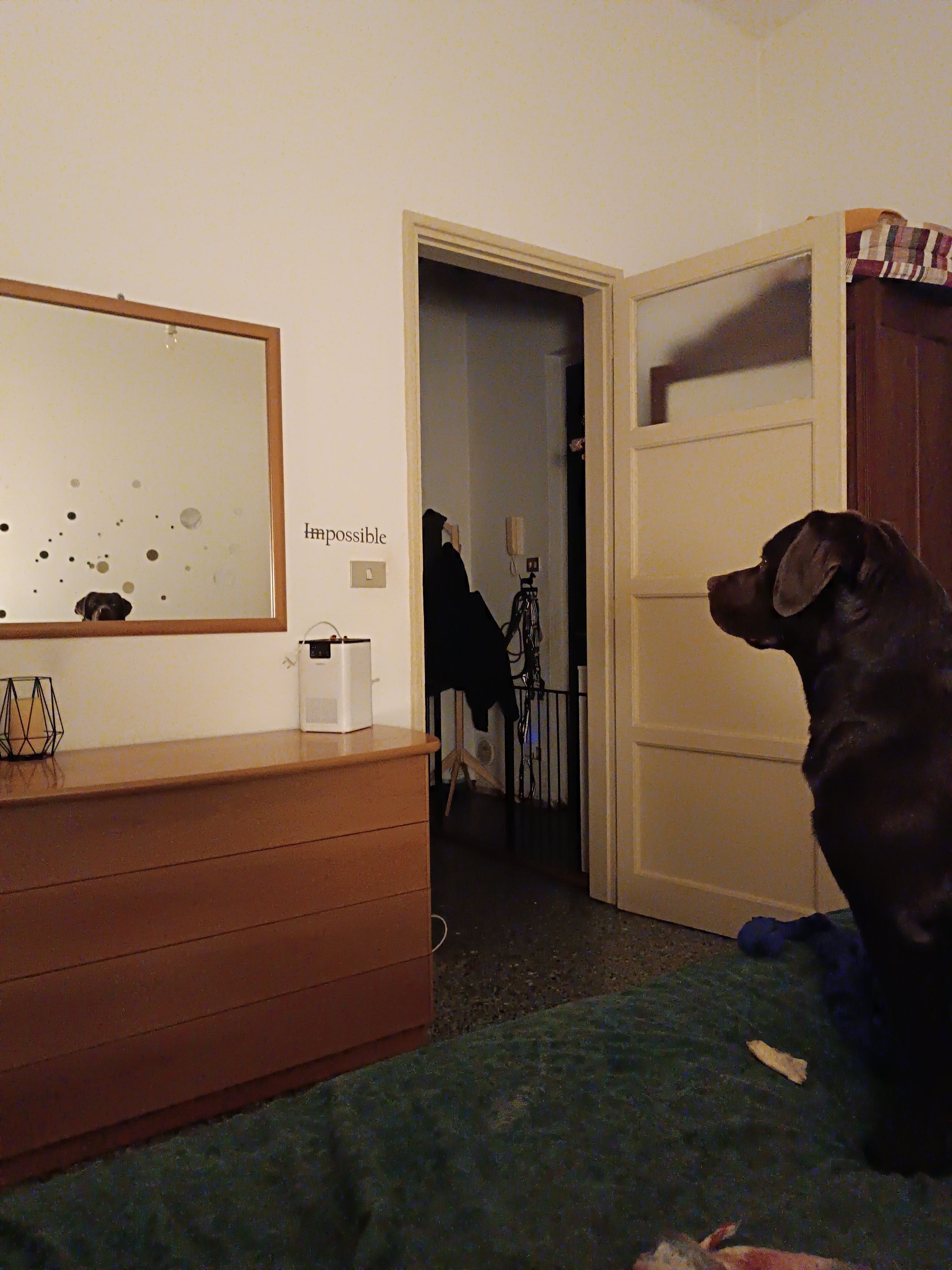 image-19