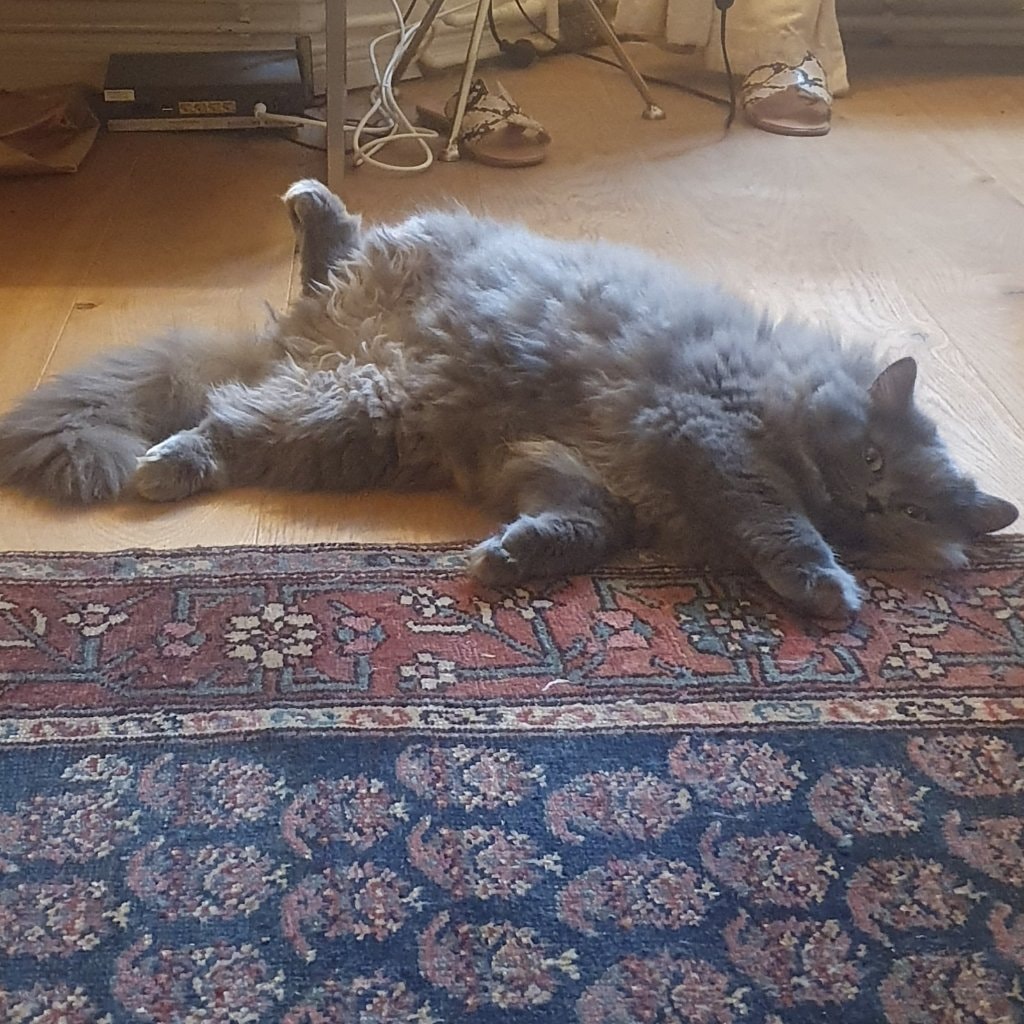 Abi