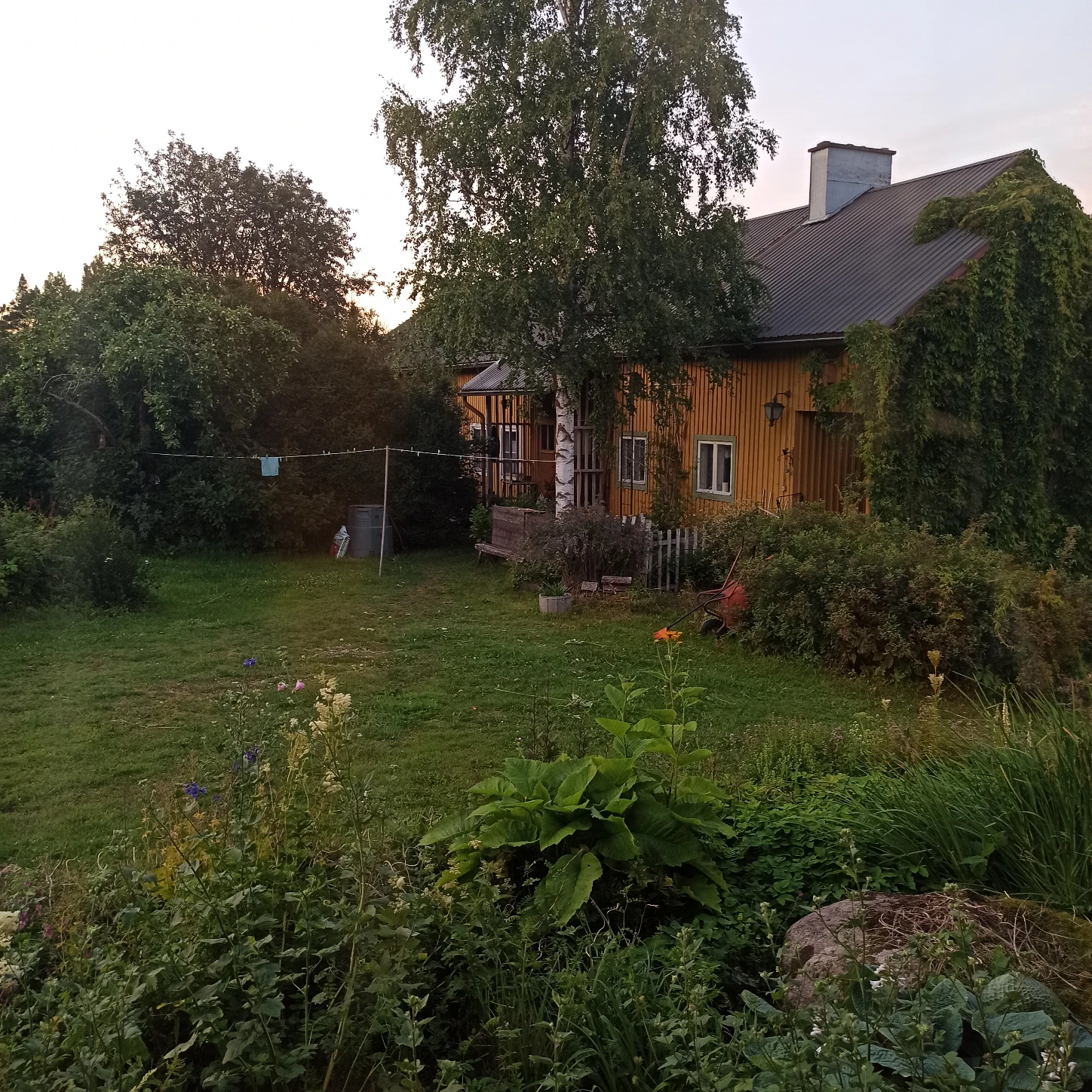 image-8