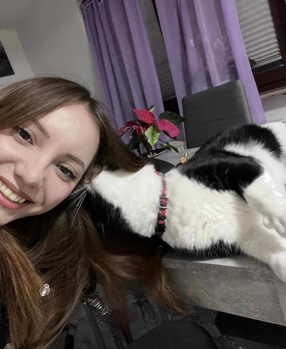 image-10