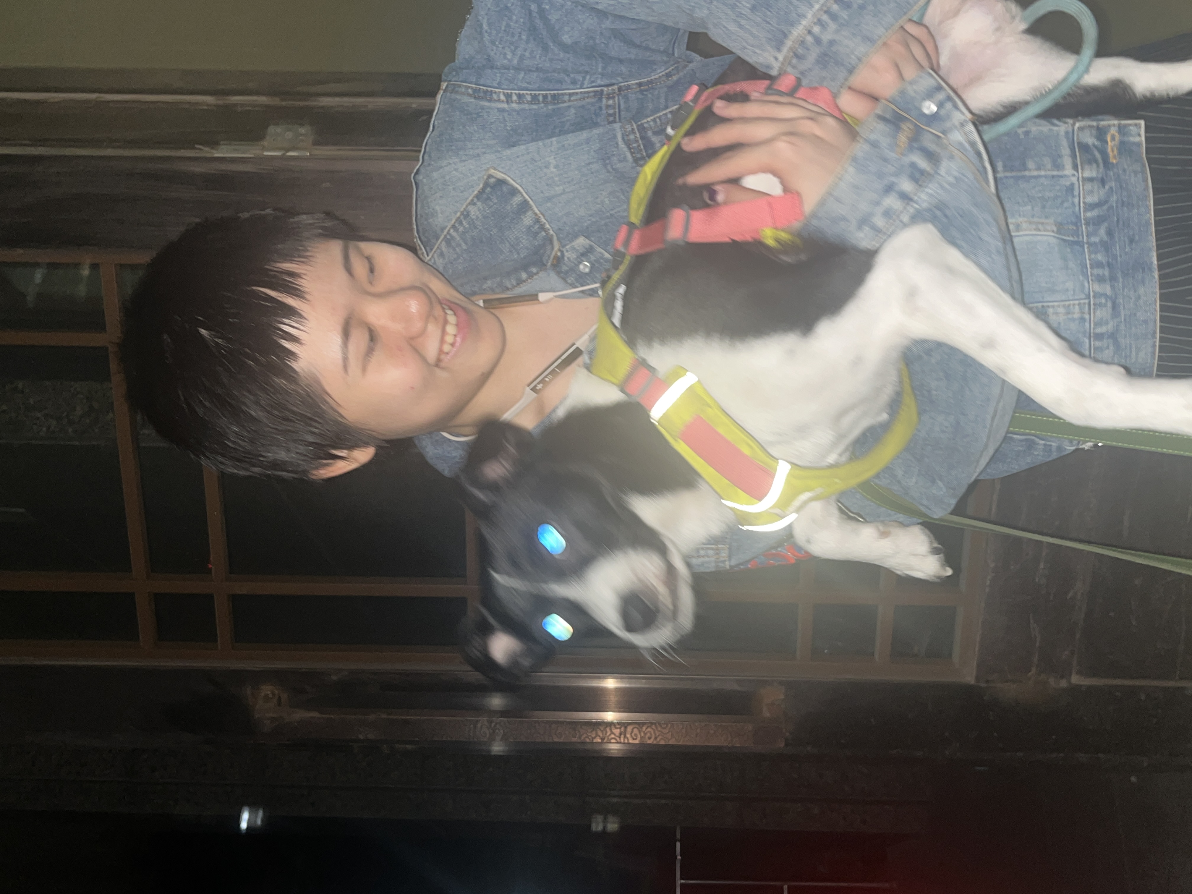 image-2