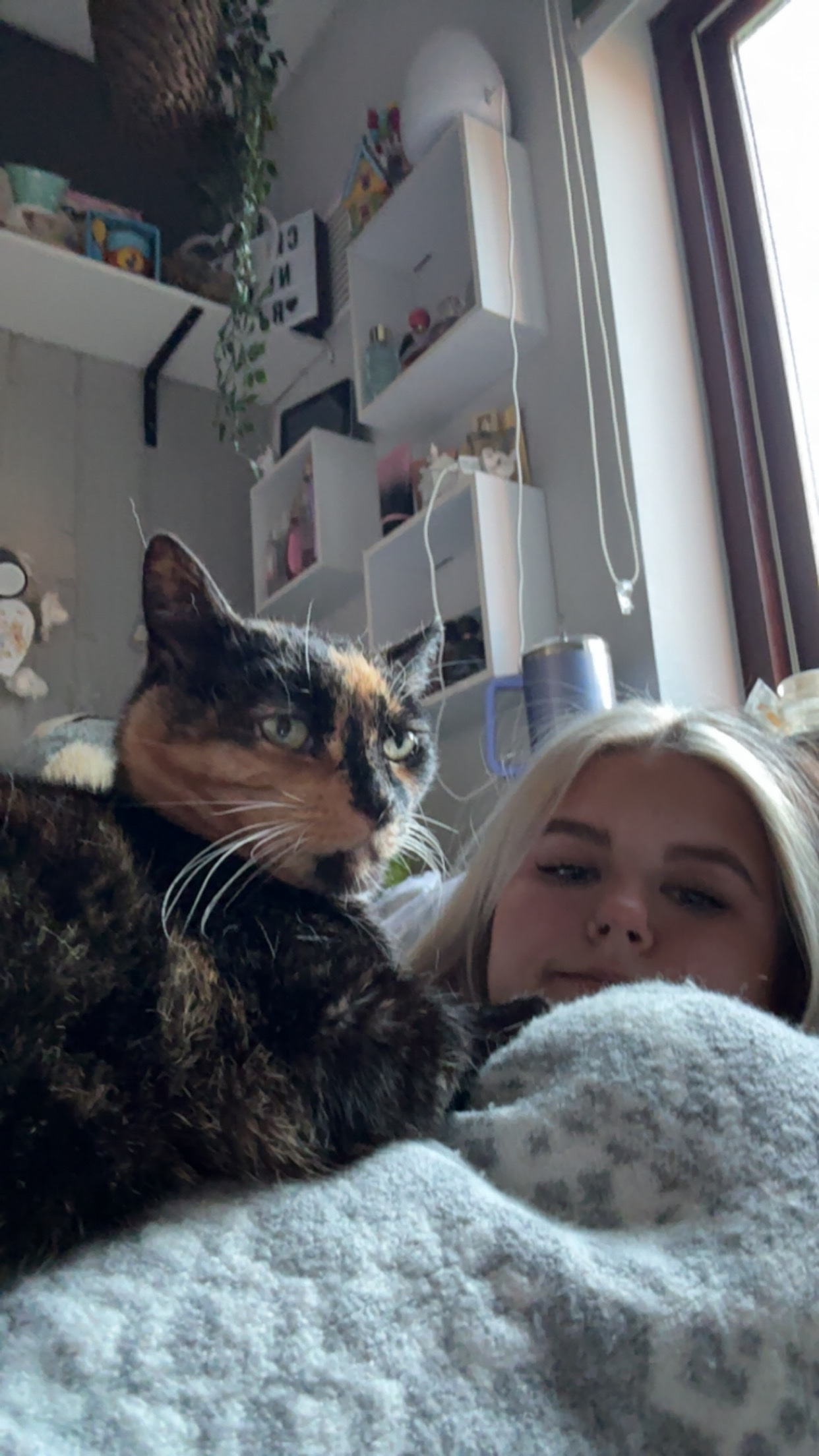image-10