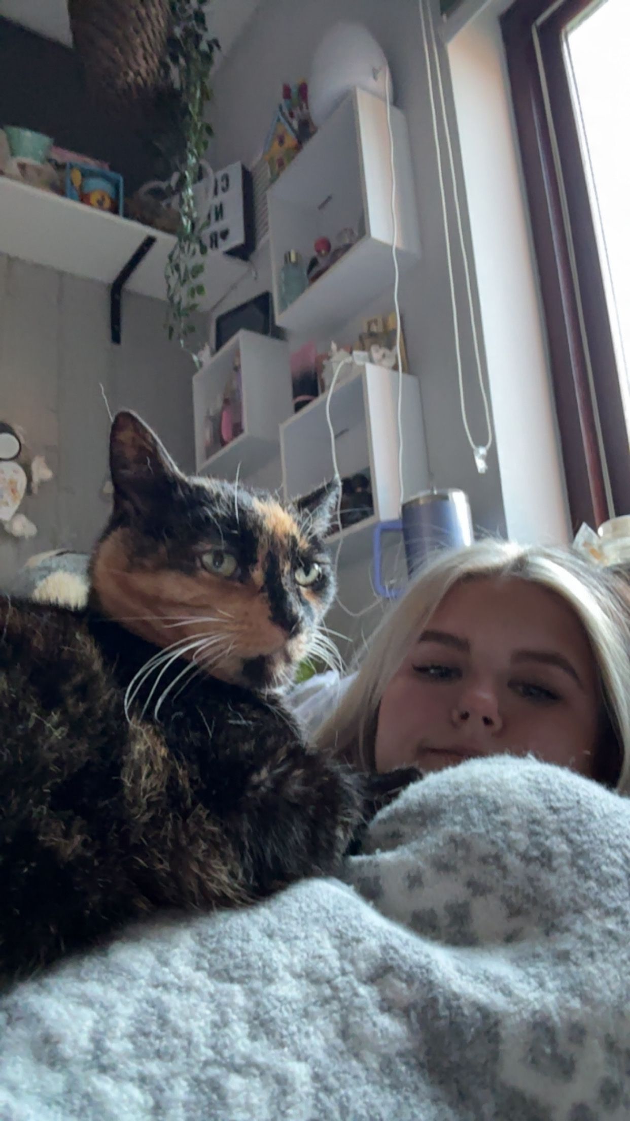 image-10