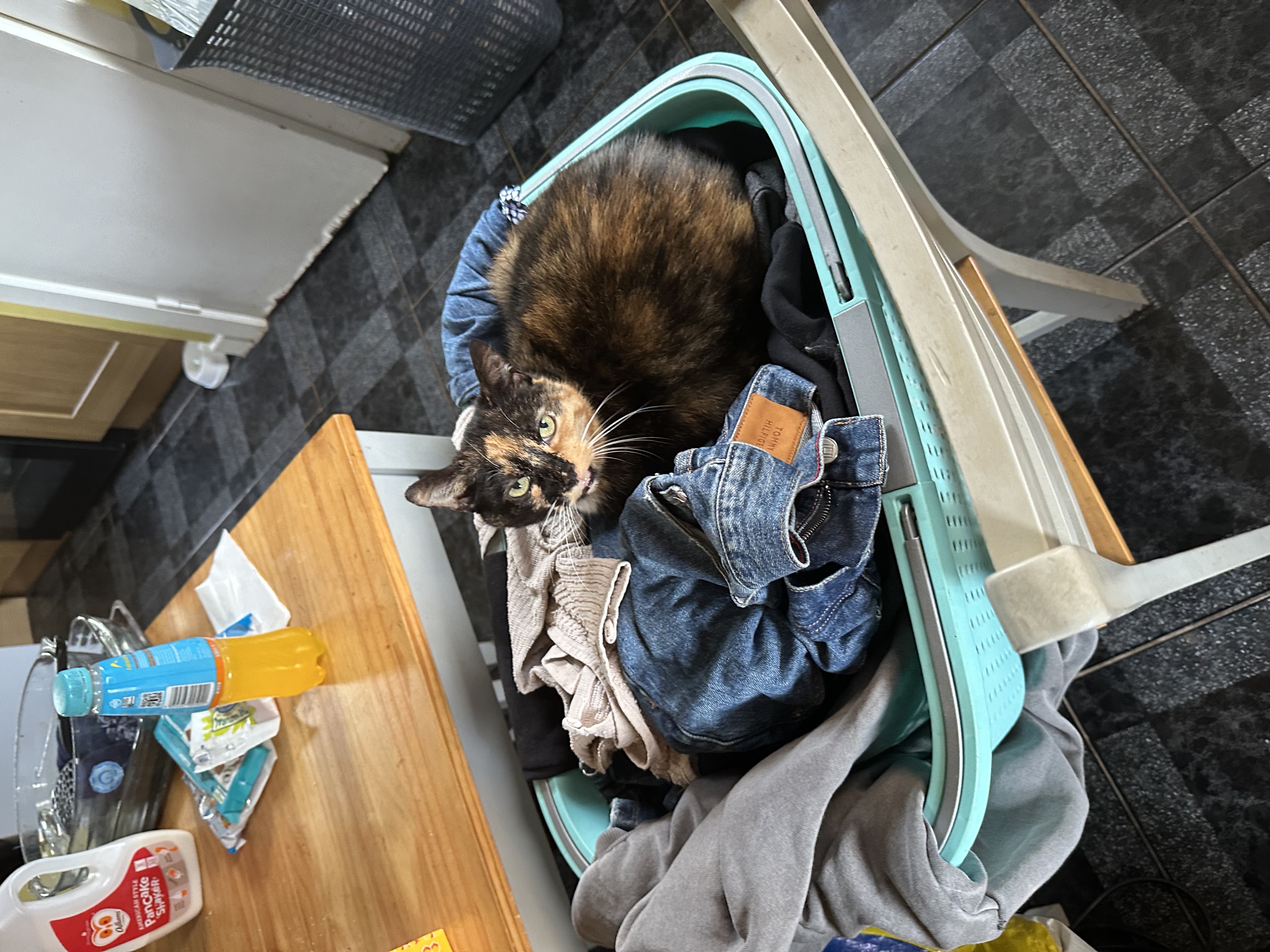 image-8