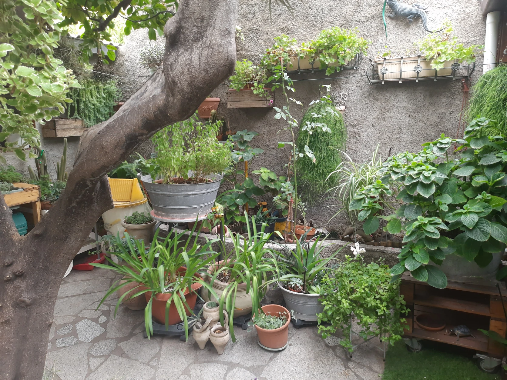 image-15