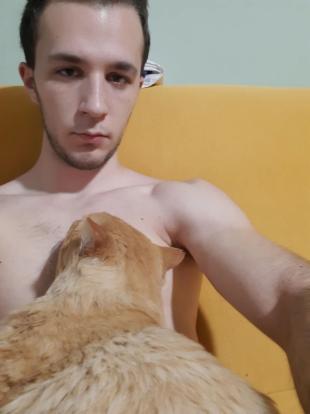 image-6