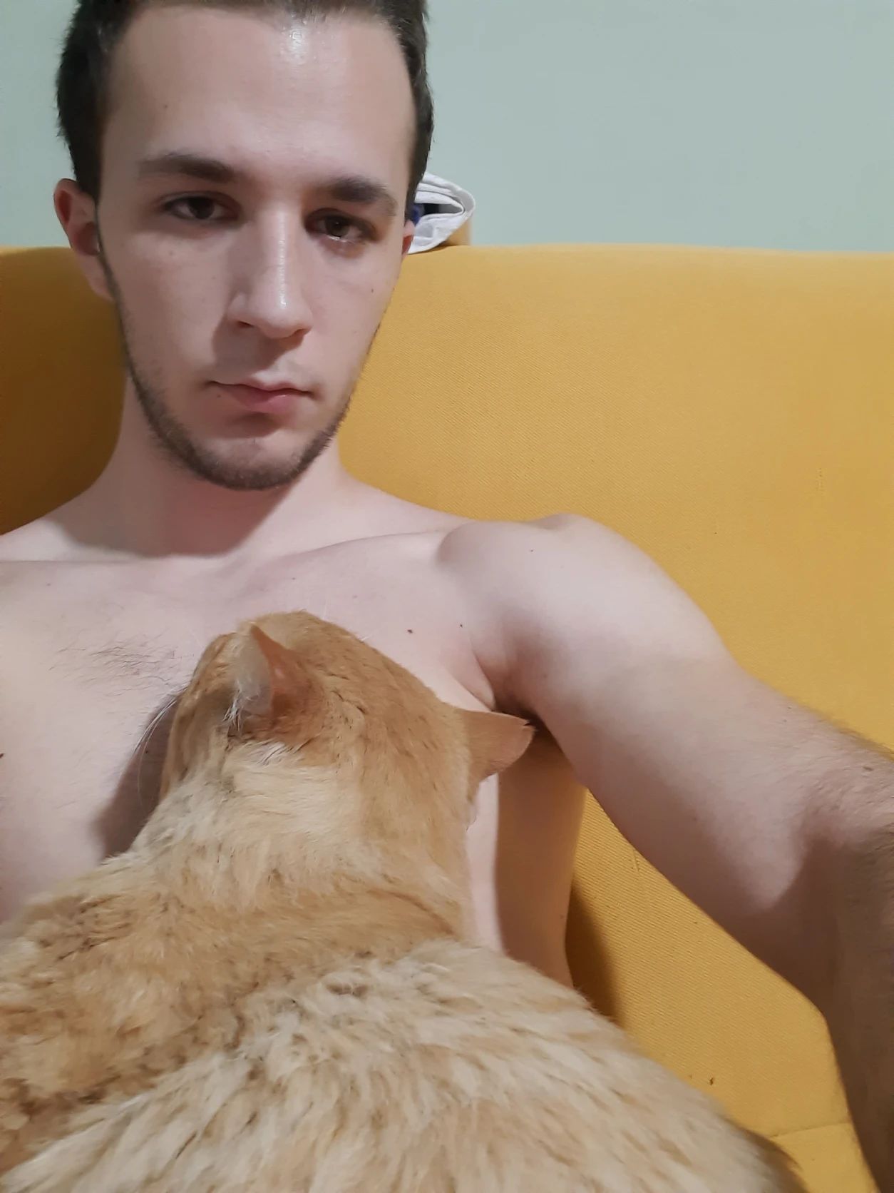 image-6