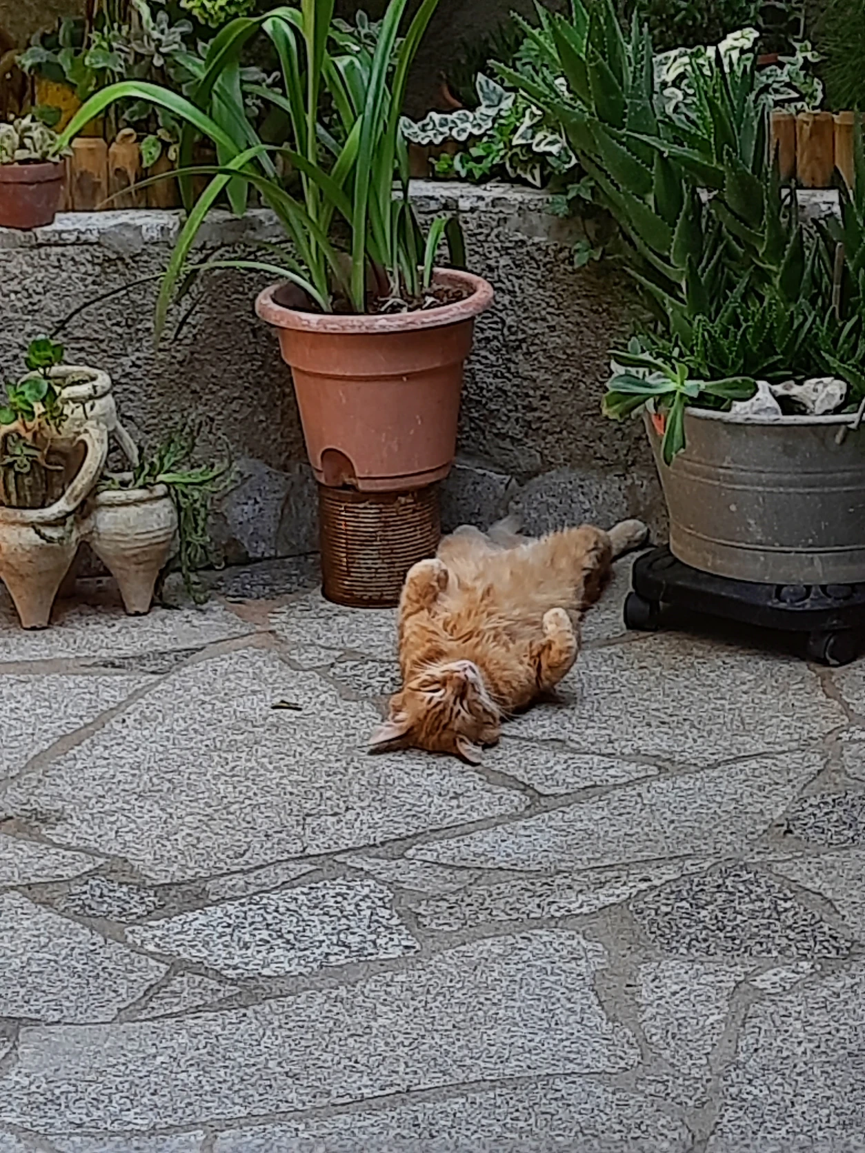 image-17