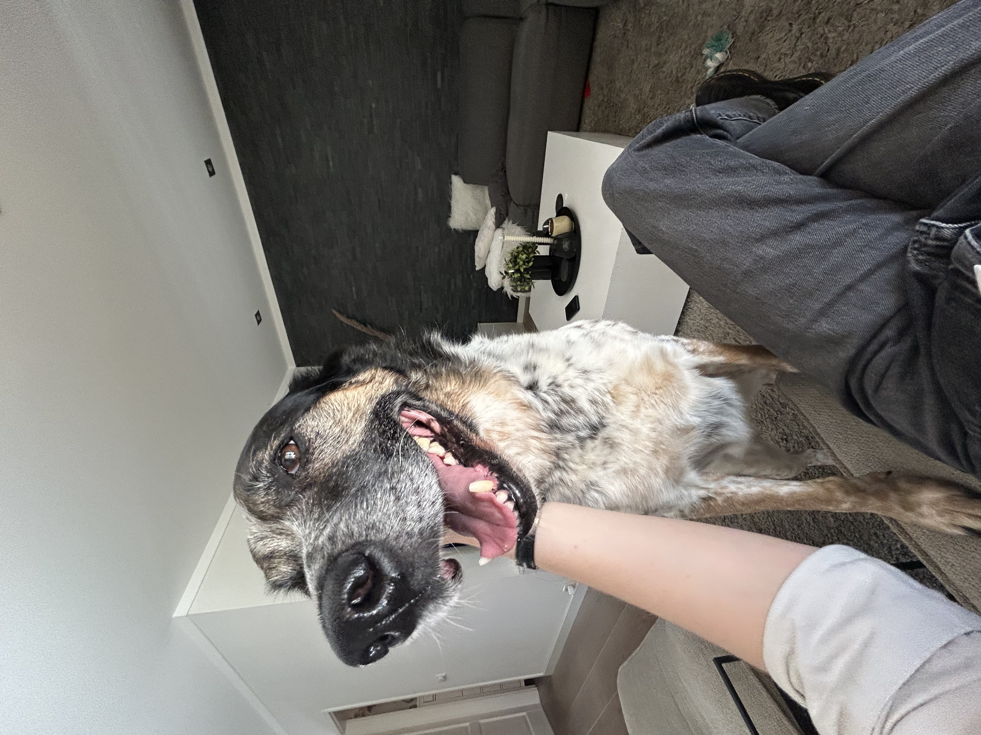 image-7