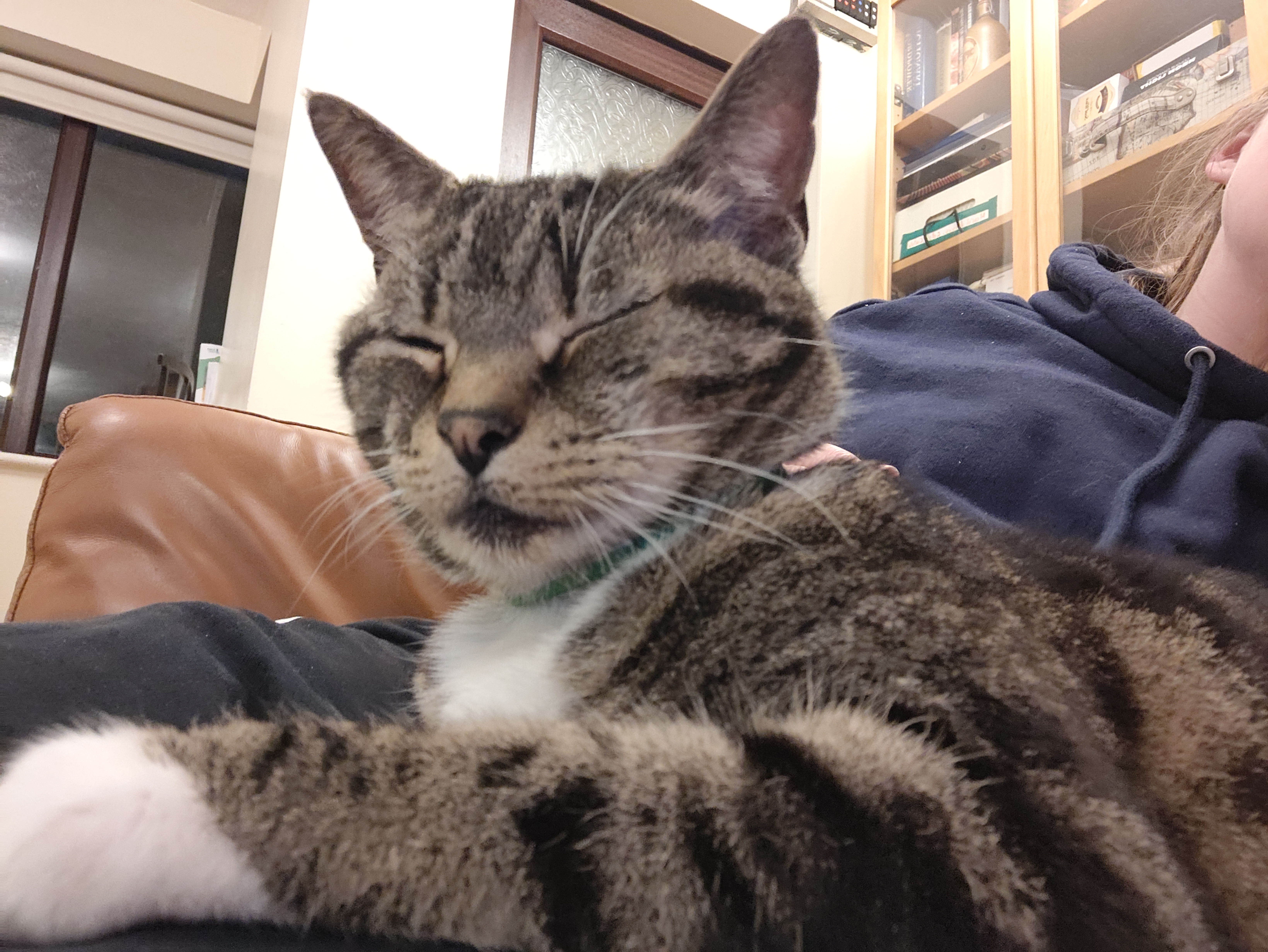 image-7