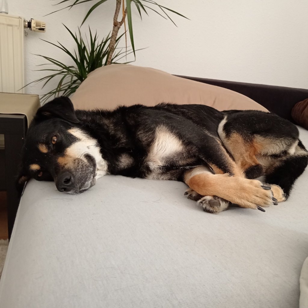 Tanja