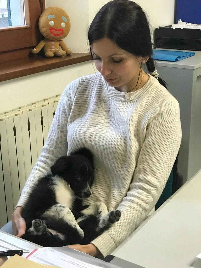 image-15