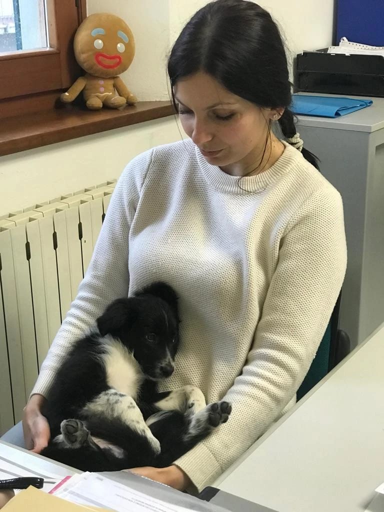 image-15