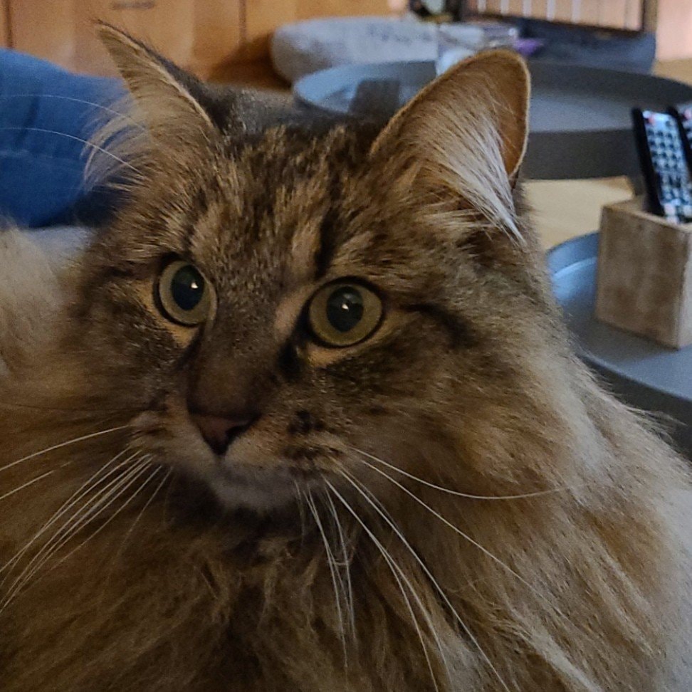 Molly
