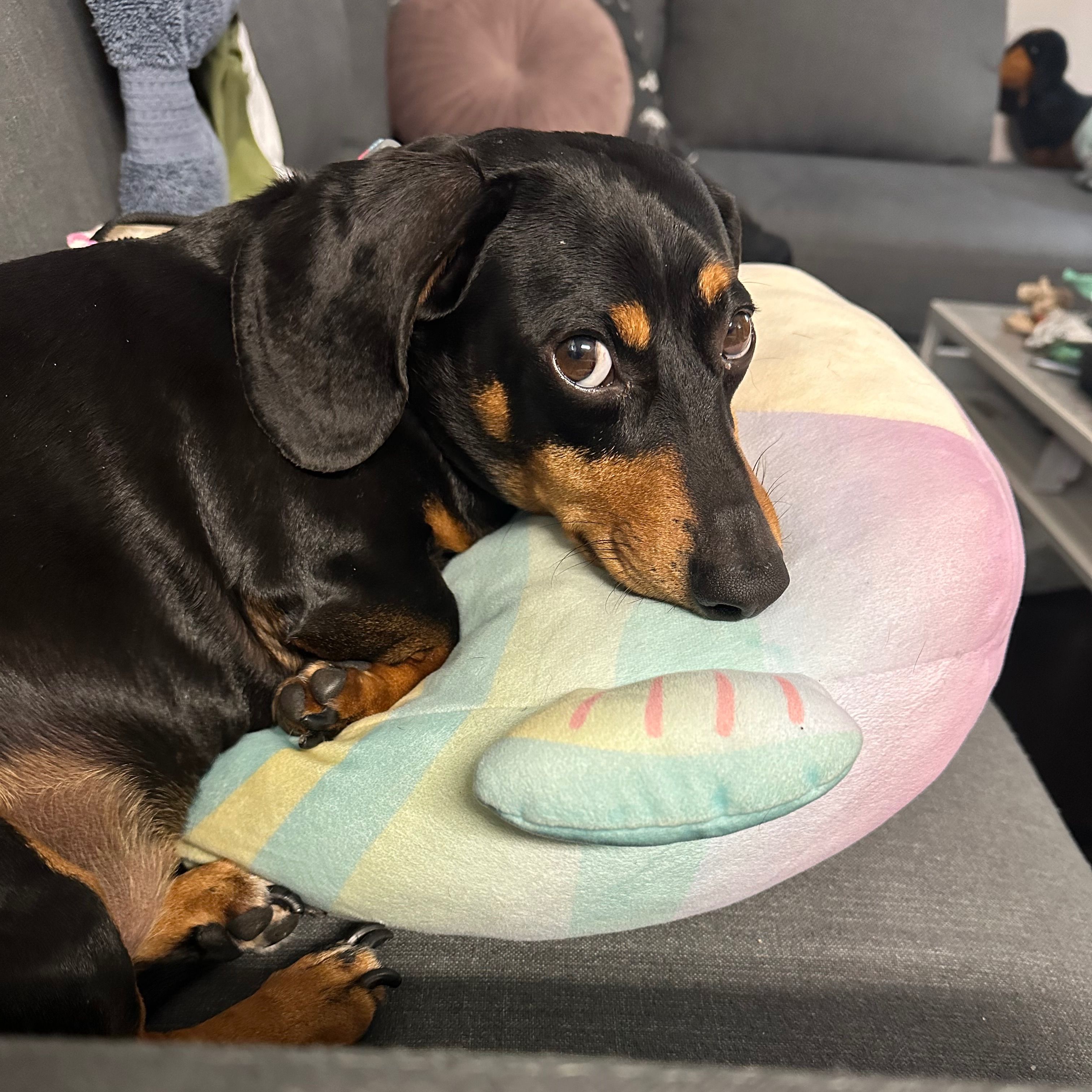 Louie