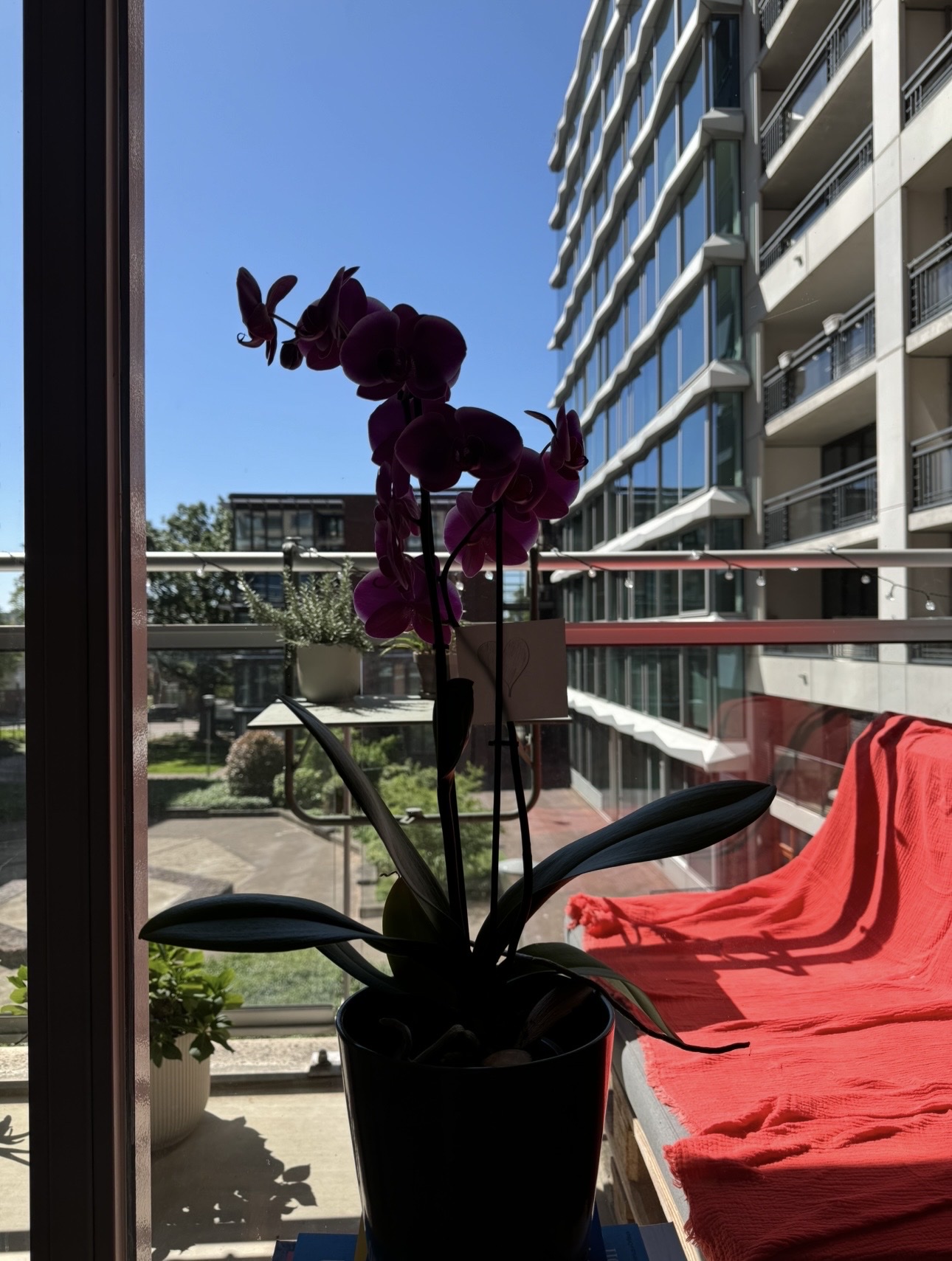 image-14