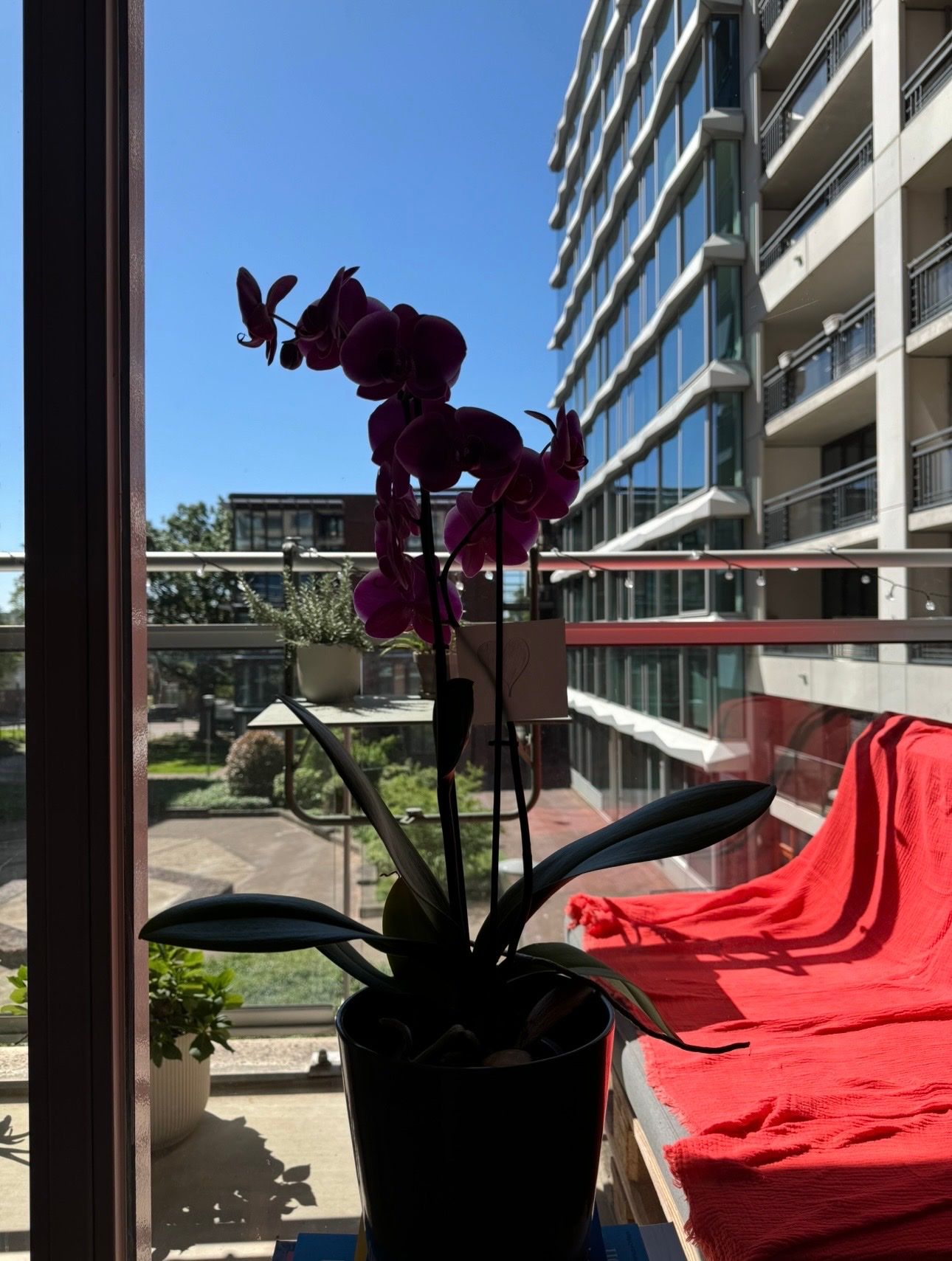 image-14