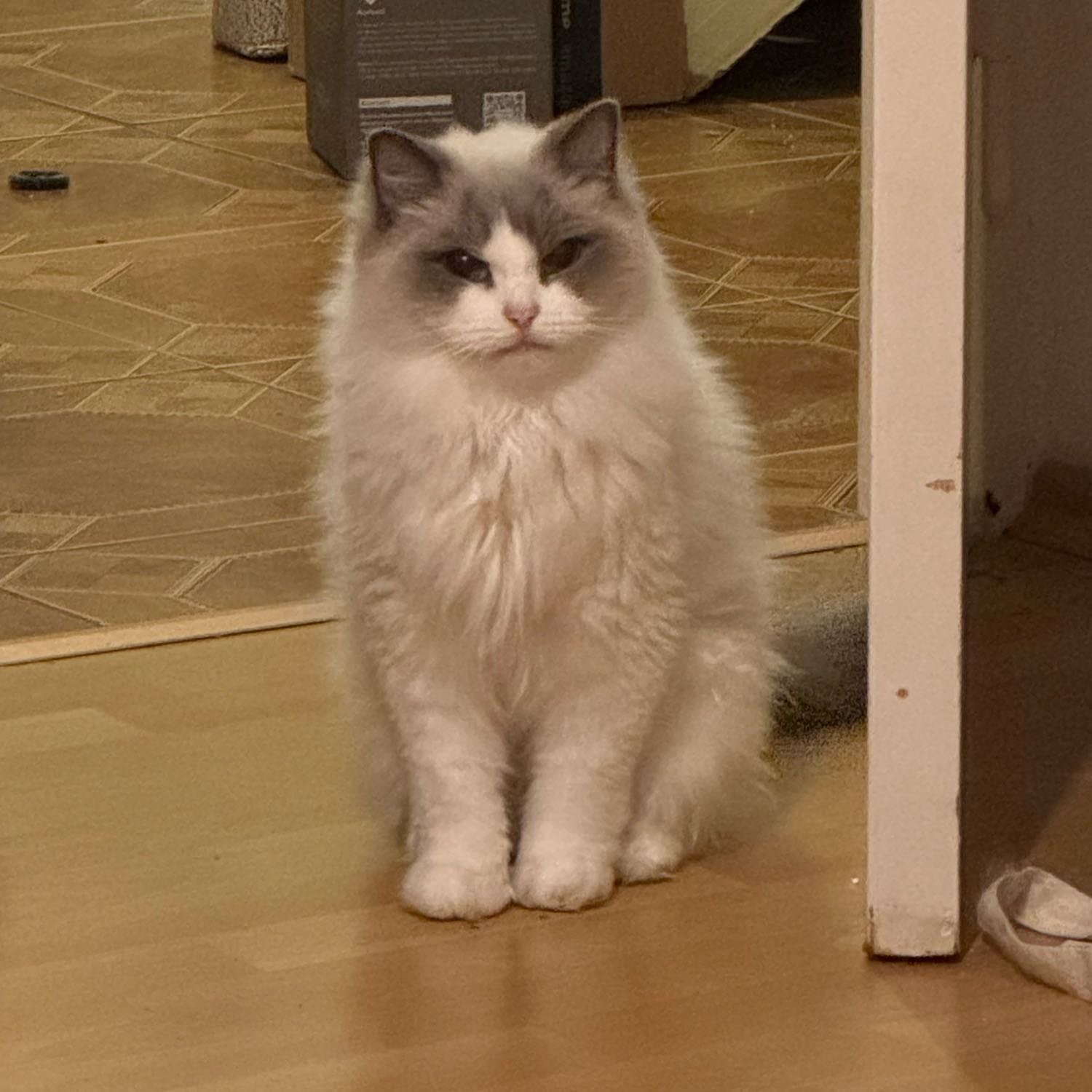 Mila