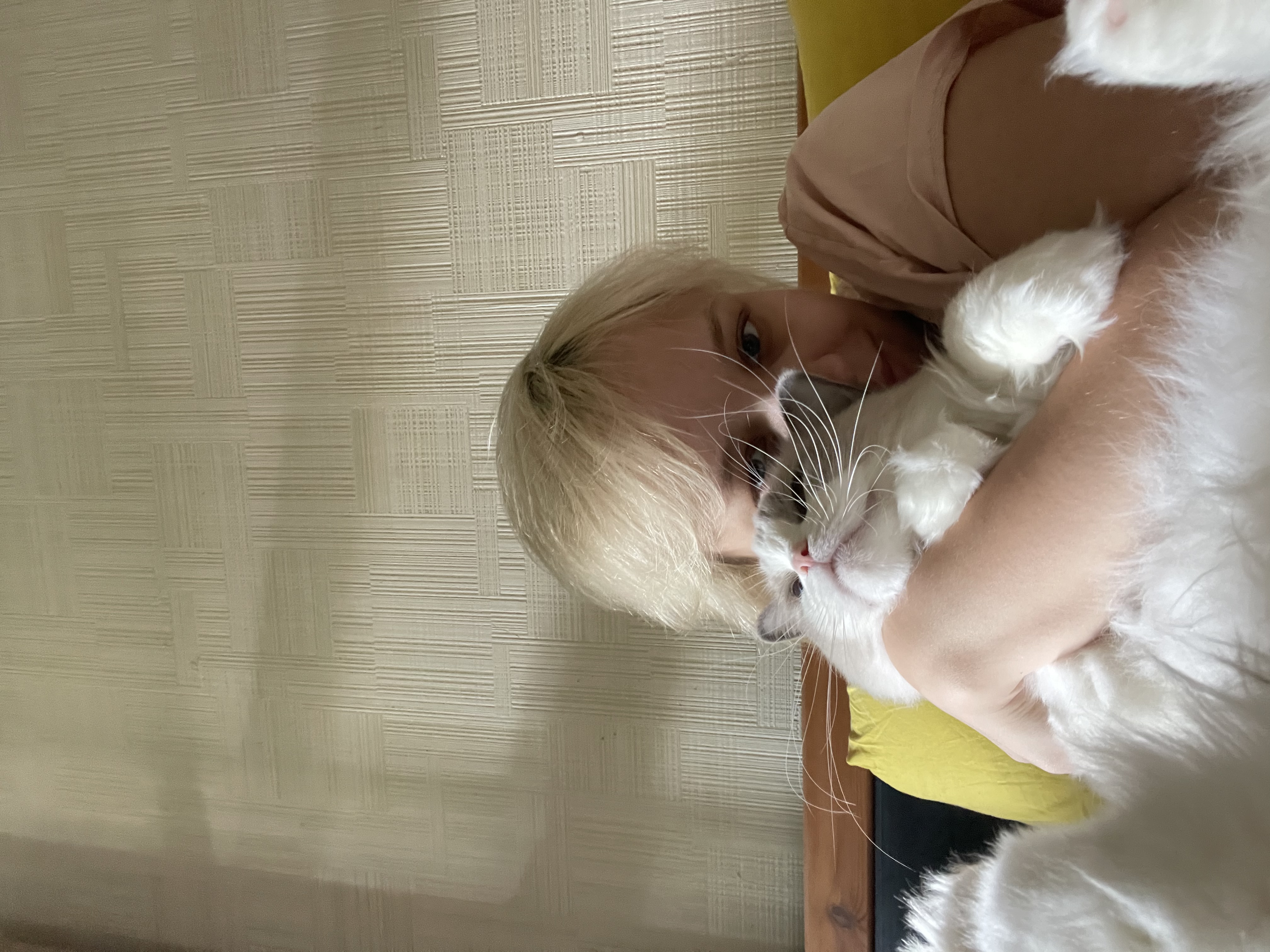 image-2