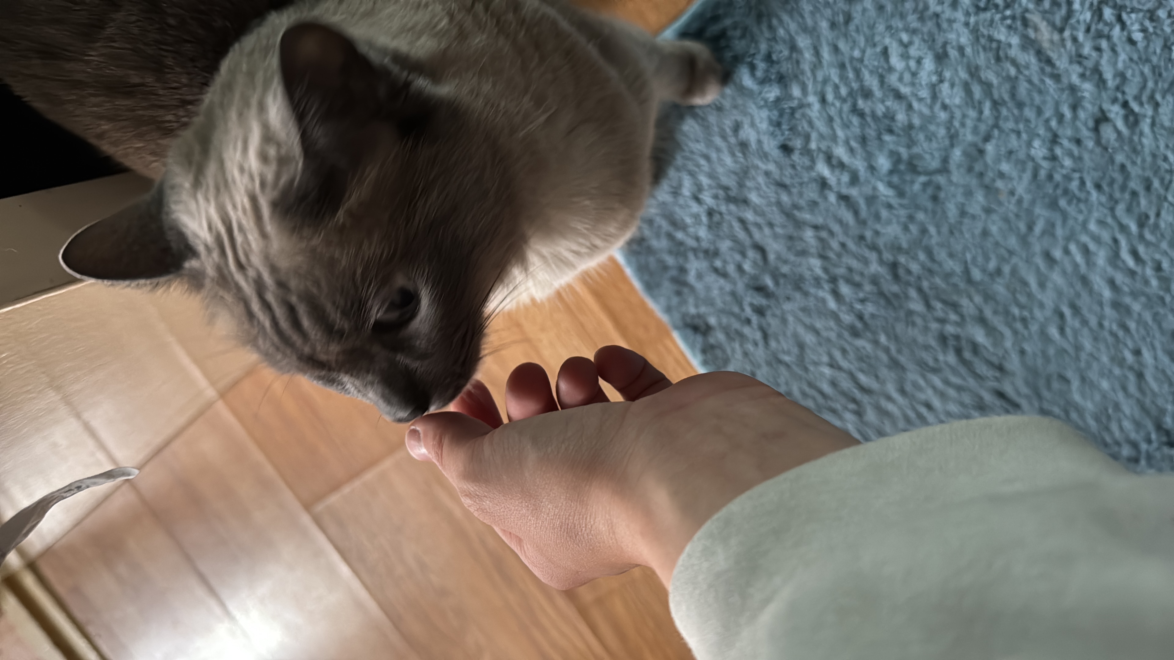 image-5