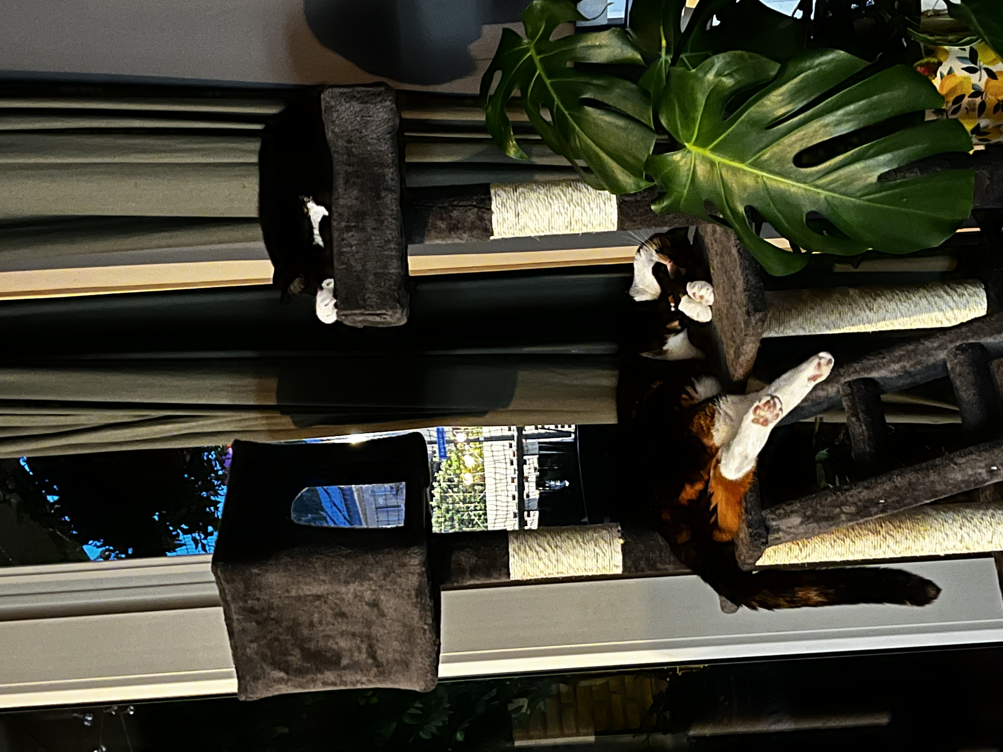 image-8