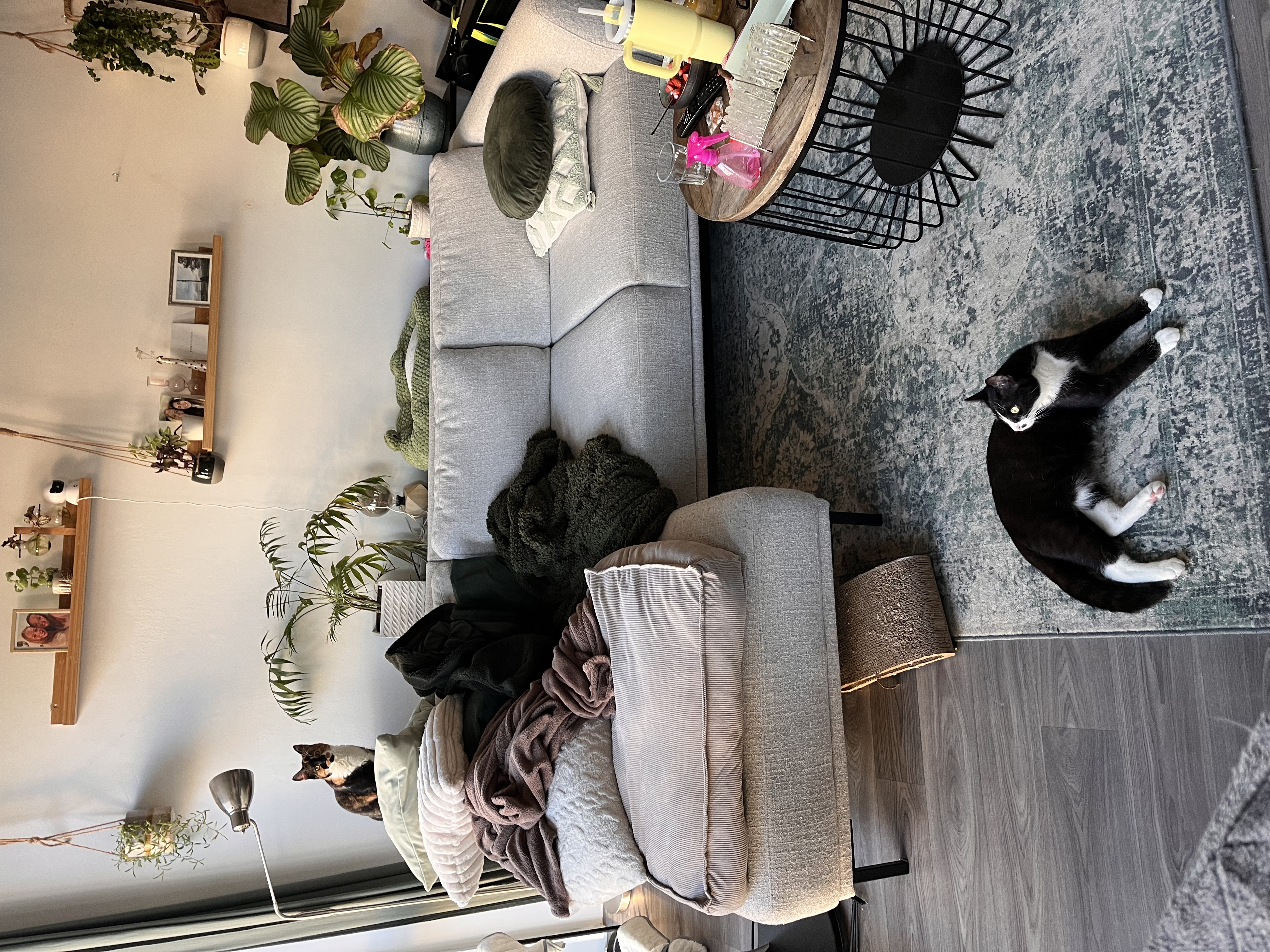 image-13