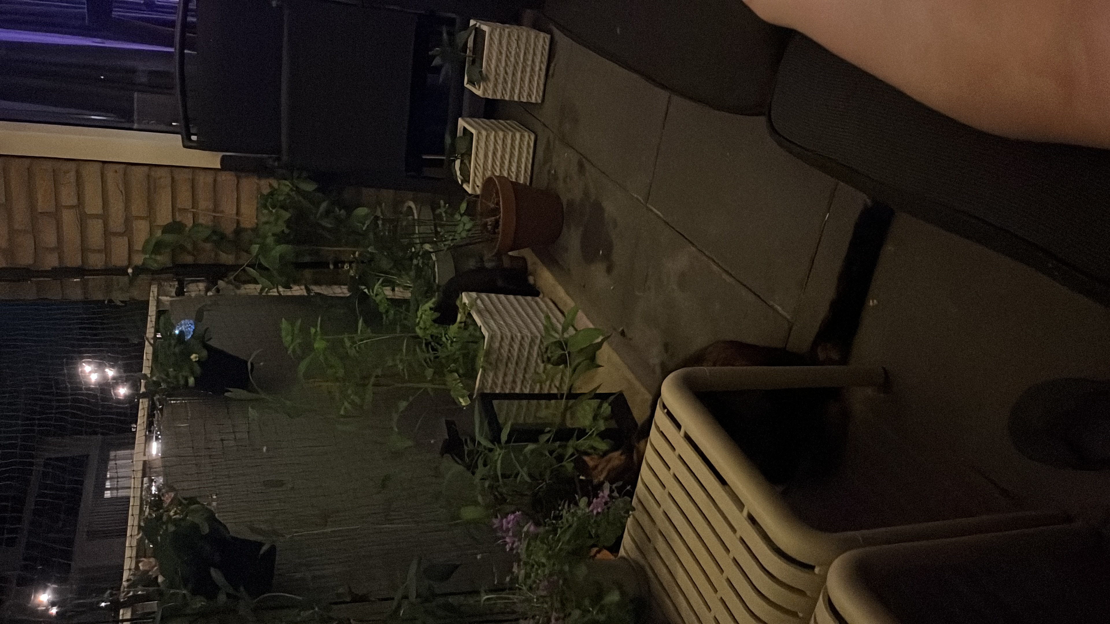 image-15