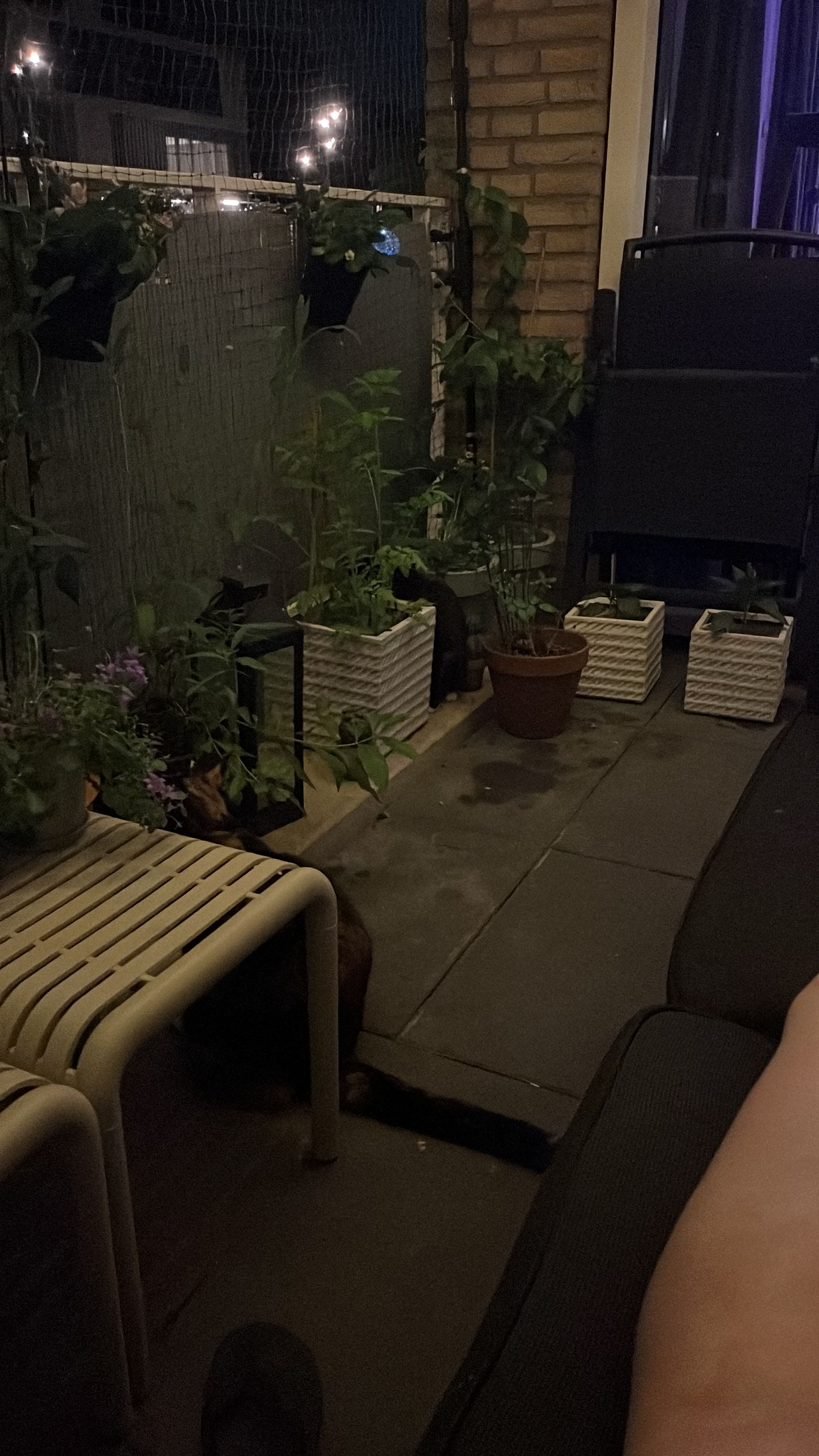 image-15