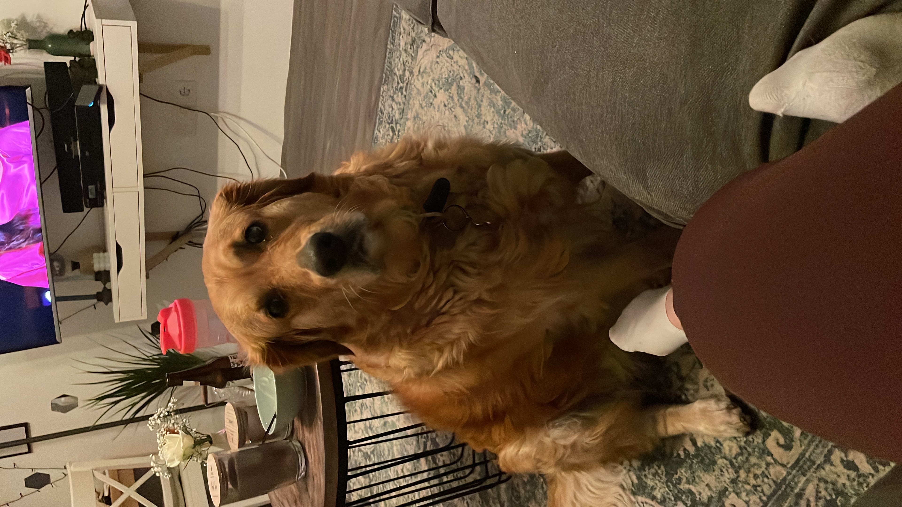 image-11