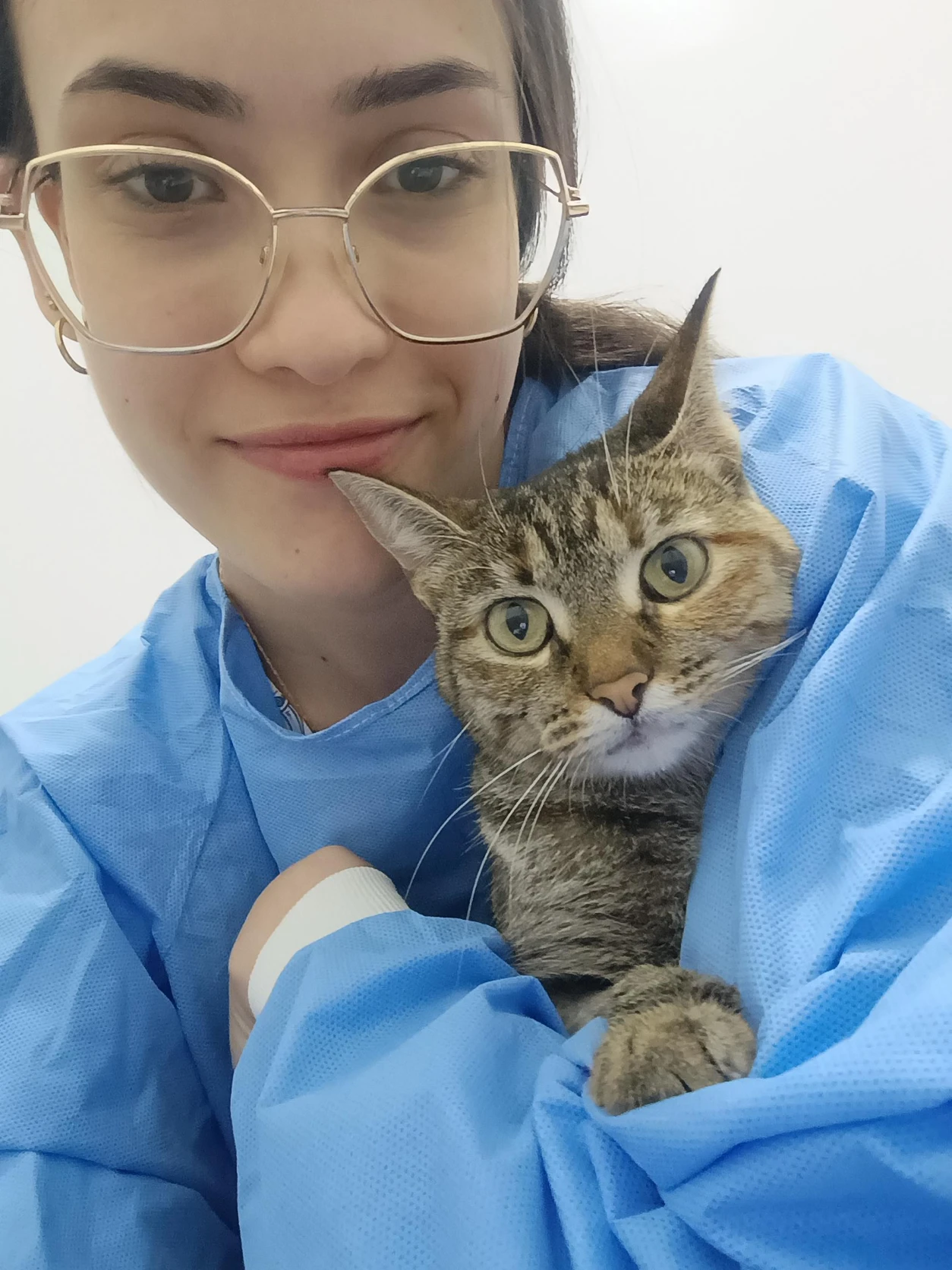 image-8