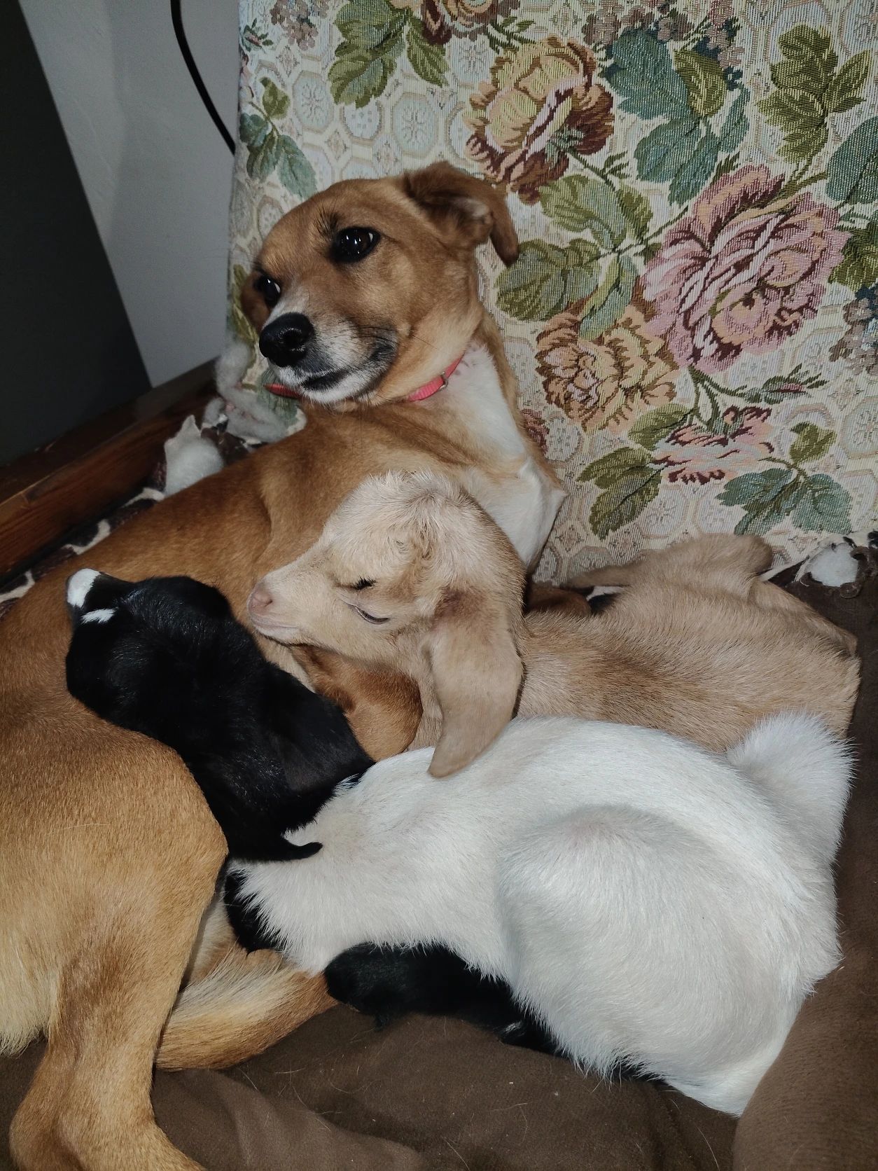 image-41