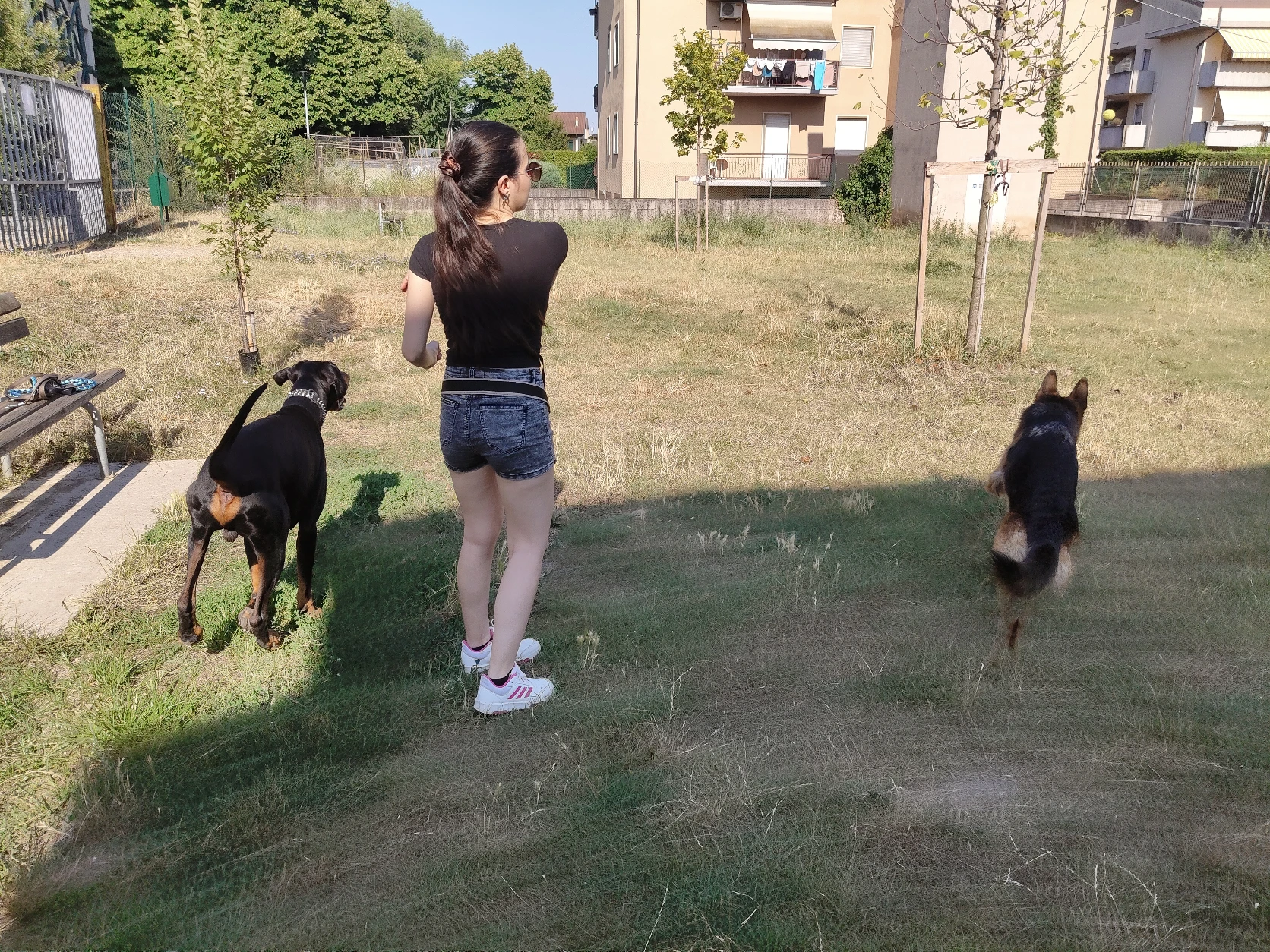 image-37